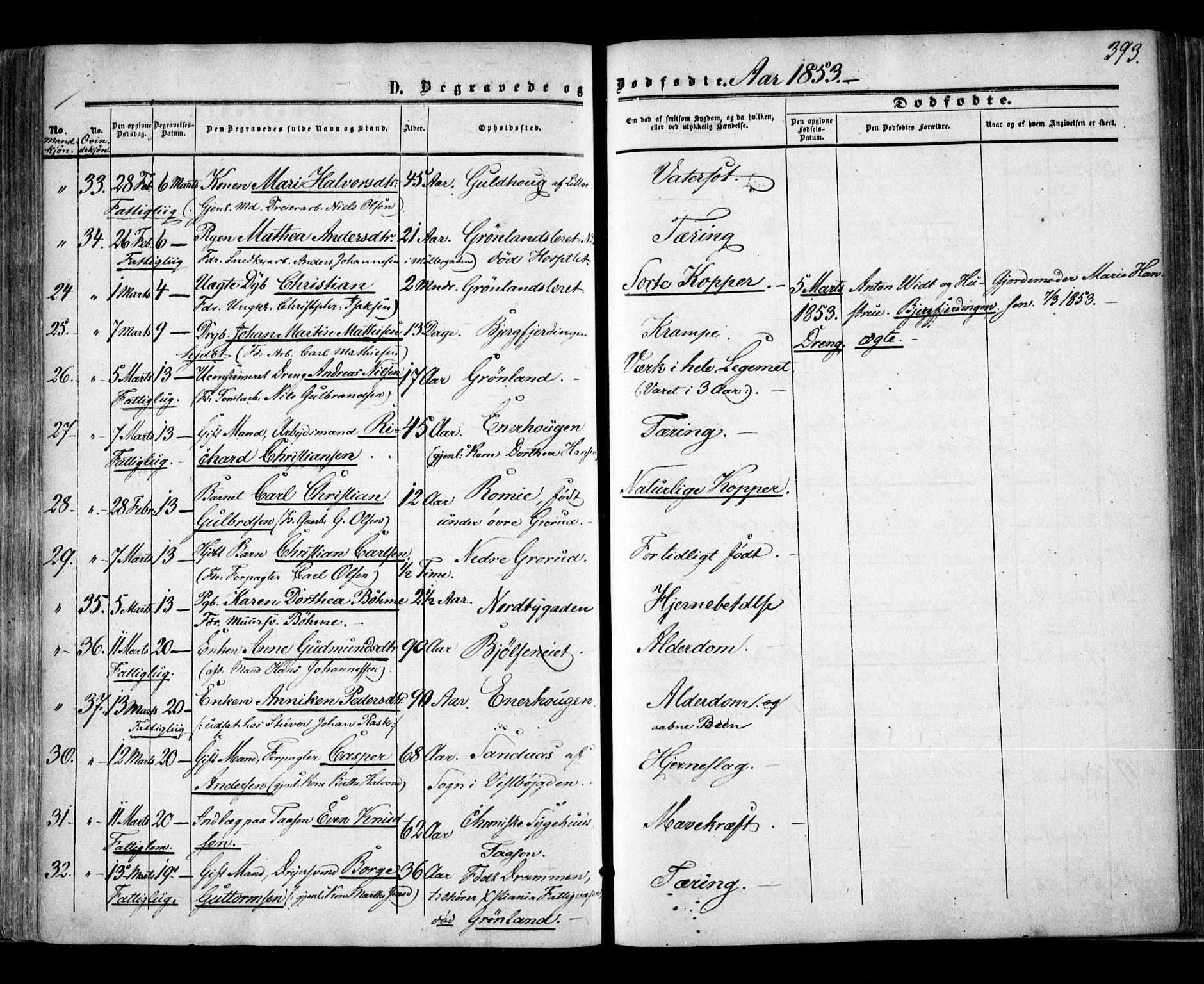 Aker prestekontor kirkebøker, AV/SAO-A-10861/F/L0020: Parish register (official) no. 20, 1853-1857, p. 393