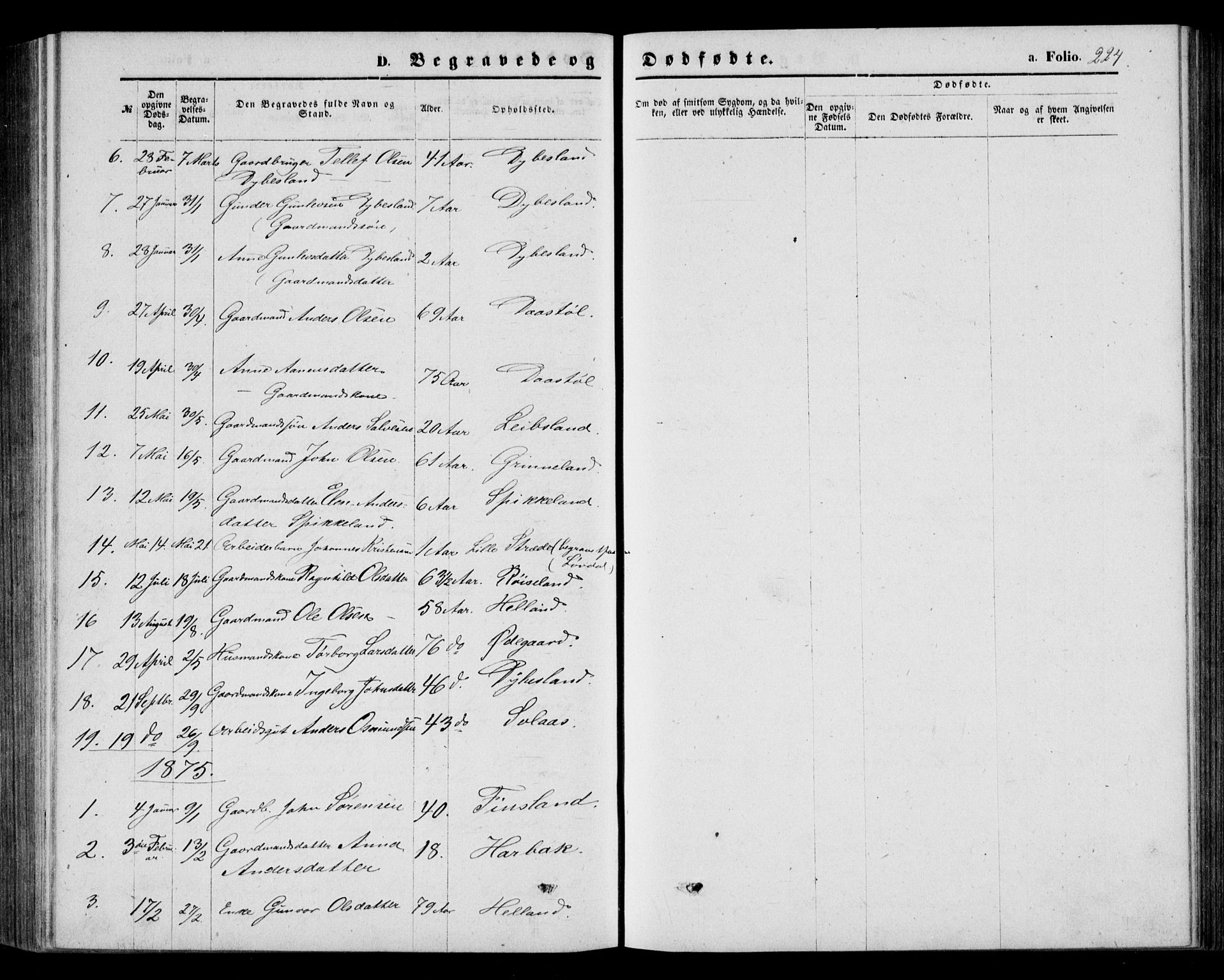 Bjelland sokneprestkontor, AV/SAK-1111-0005/F/Fb/Fbb/L0004: Parish register (copy) no. B 4, 1867-1887, p. 224