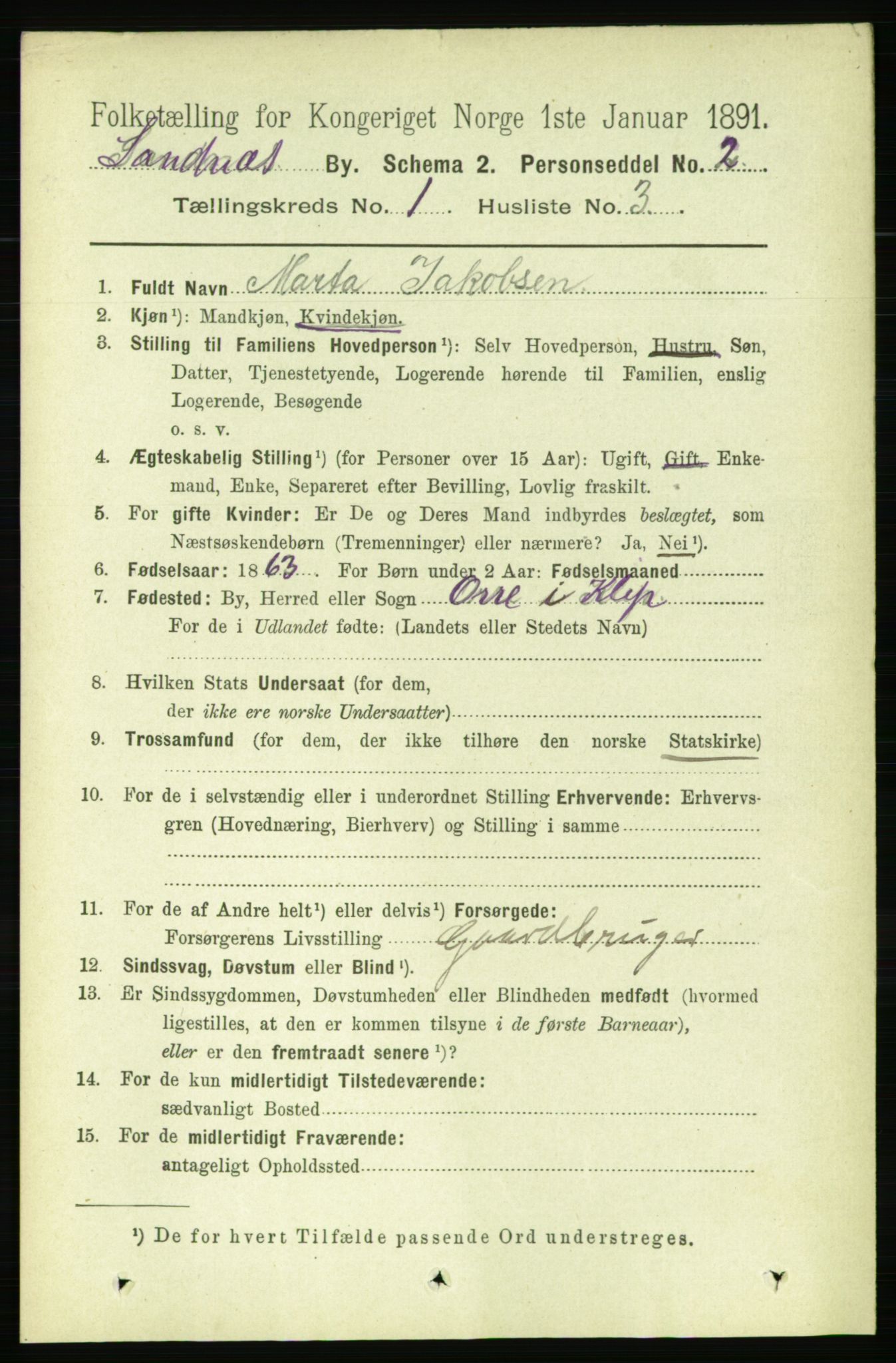 RA, 1891 census for 1102 Sandnes, 1891, p. 494