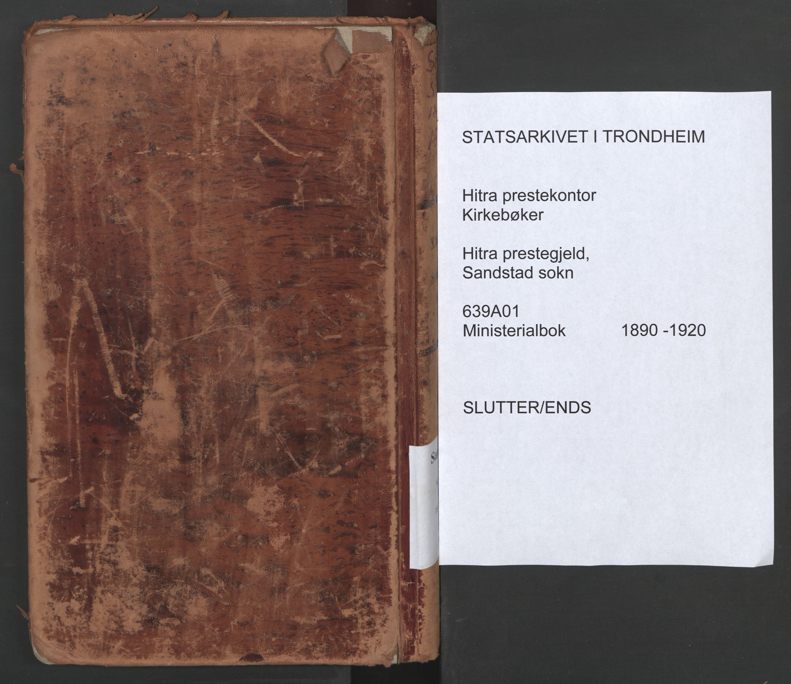 Ministerialprotokoller, klokkerbøker og fødselsregistre - Sør-Trøndelag, AV/SAT-A-1456/639/L0572: Parish register (official) no. 639A01, 1890-1920, p. 195