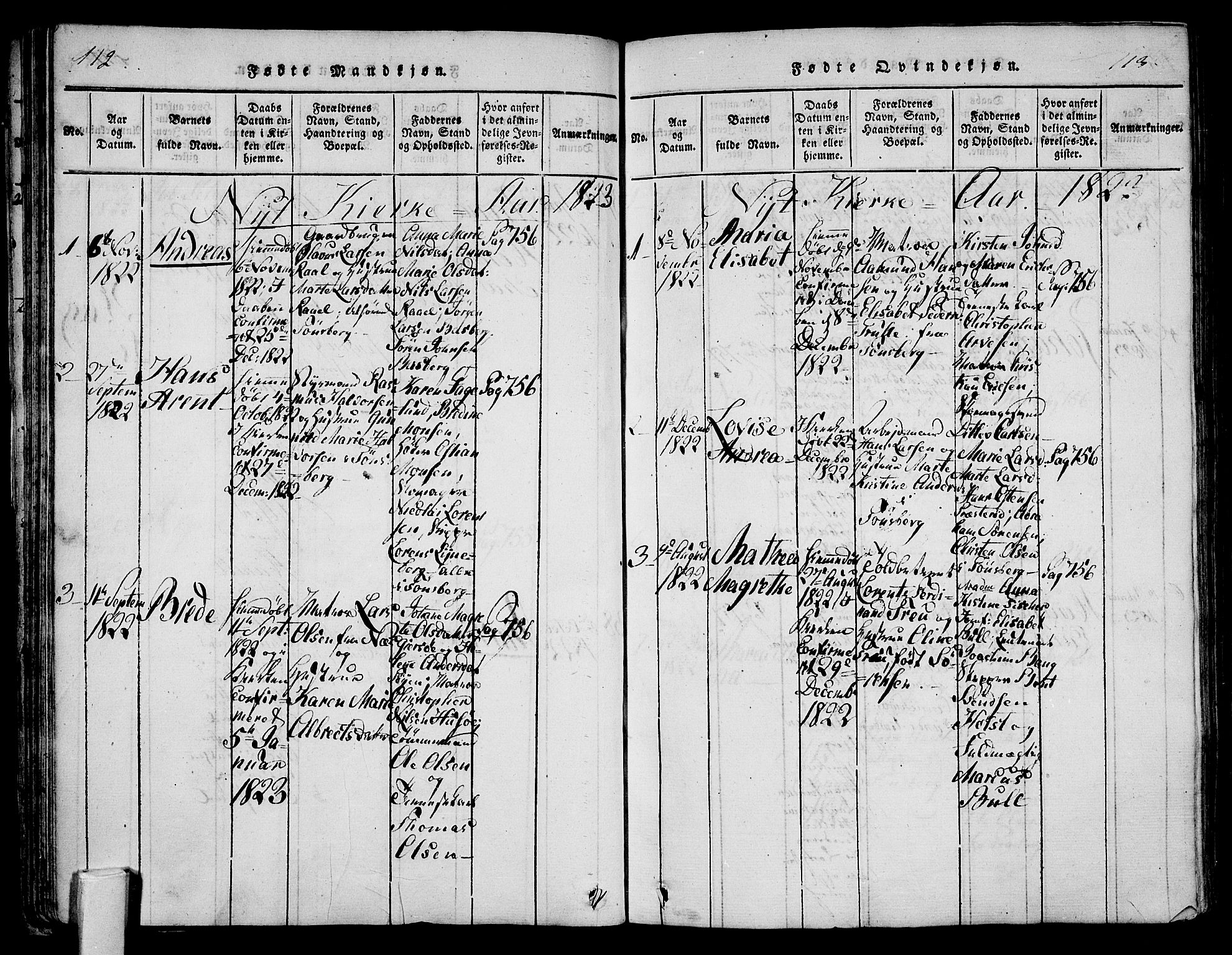 Tønsberg kirkebøker, AV/SAKO-A-330/F/Fa/L0004: Parish register (official) no. I 4, 1813-1826, p. 112-113