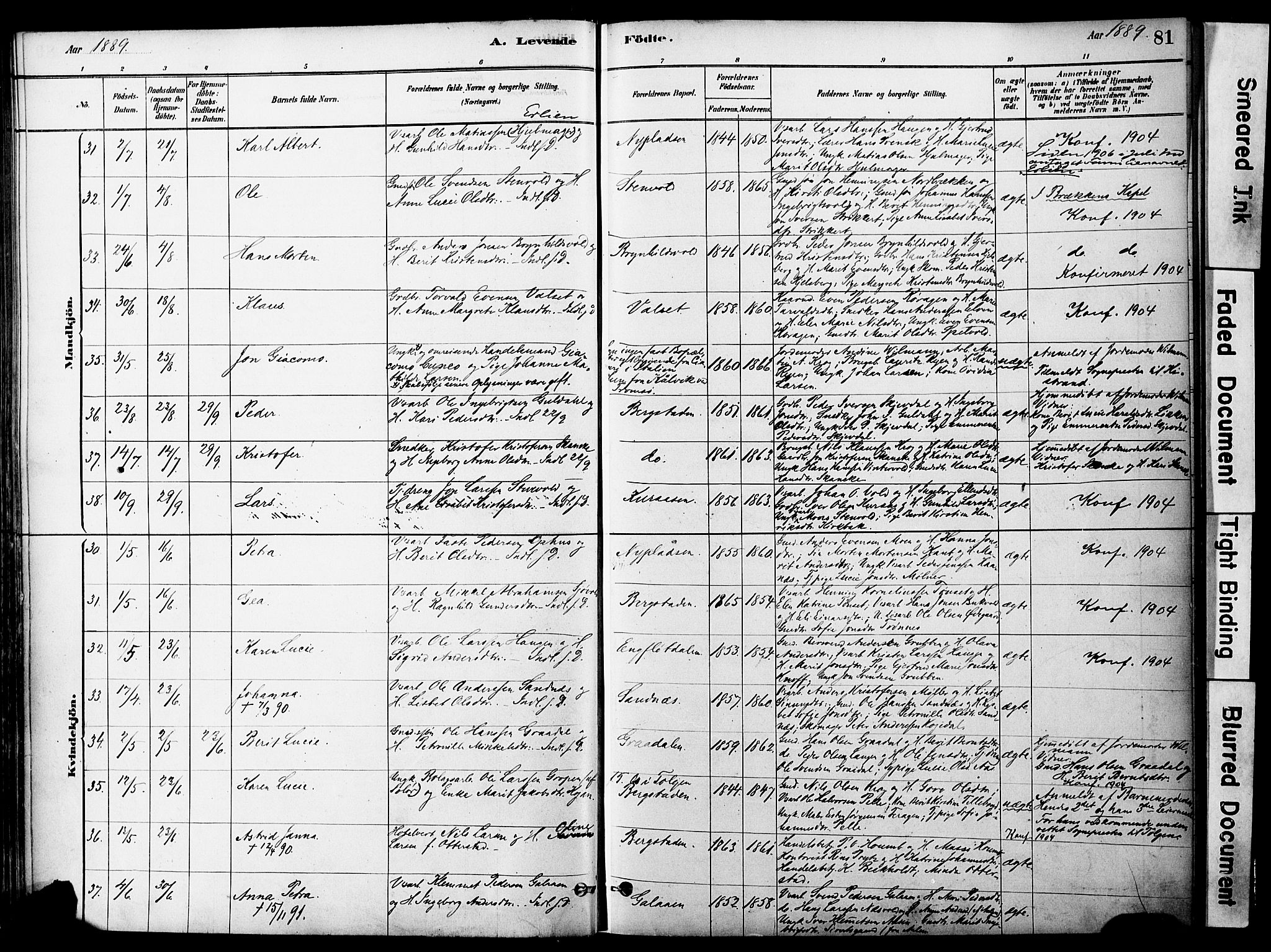 Ministerialprotokoller, klokkerbøker og fødselsregistre - Sør-Trøndelag, AV/SAT-A-1456/681/L0933: Parish register (official) no. 681A11, 1879-1890, p. 81