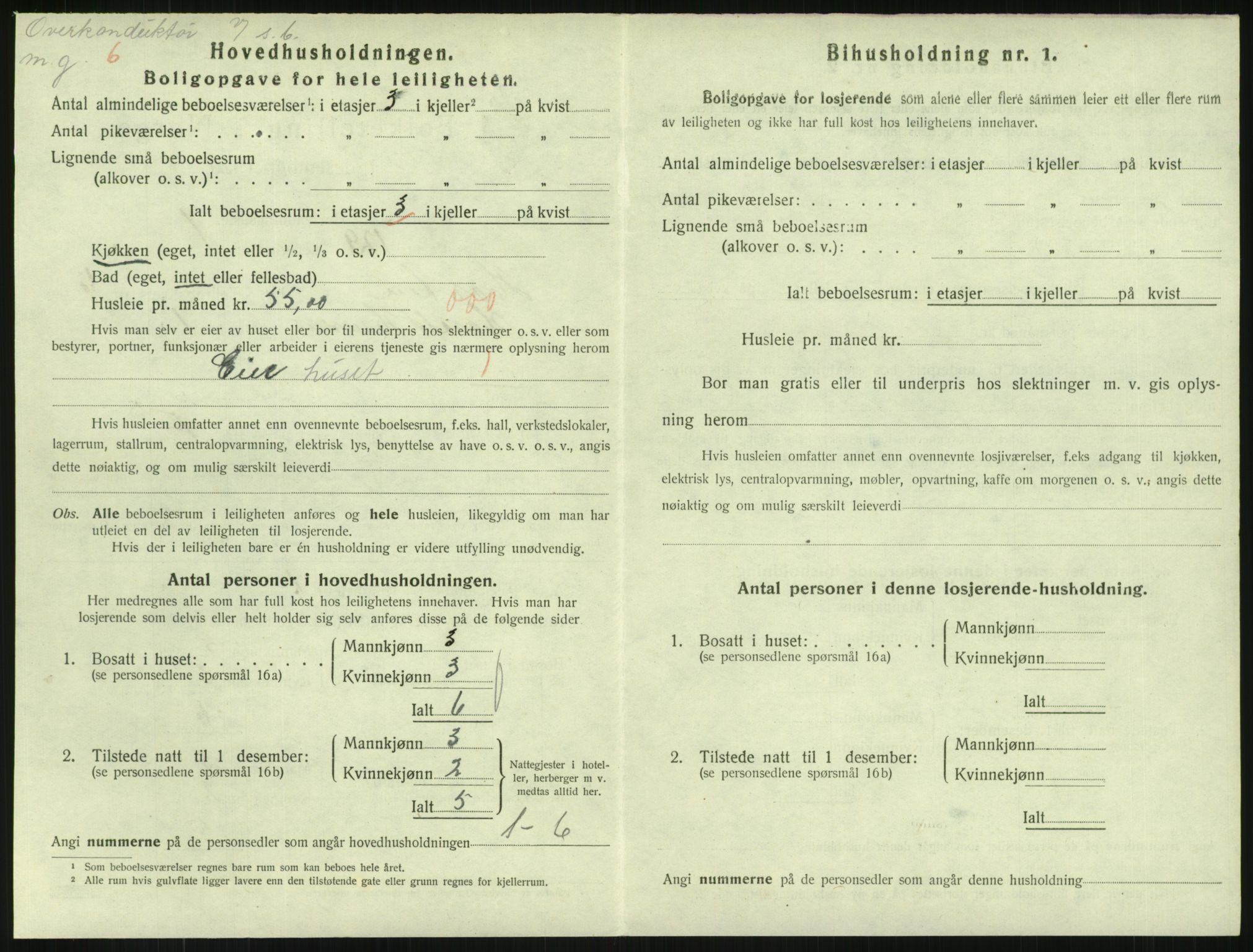 SAKO, 1920 census for Horten, 1920, p. 6880