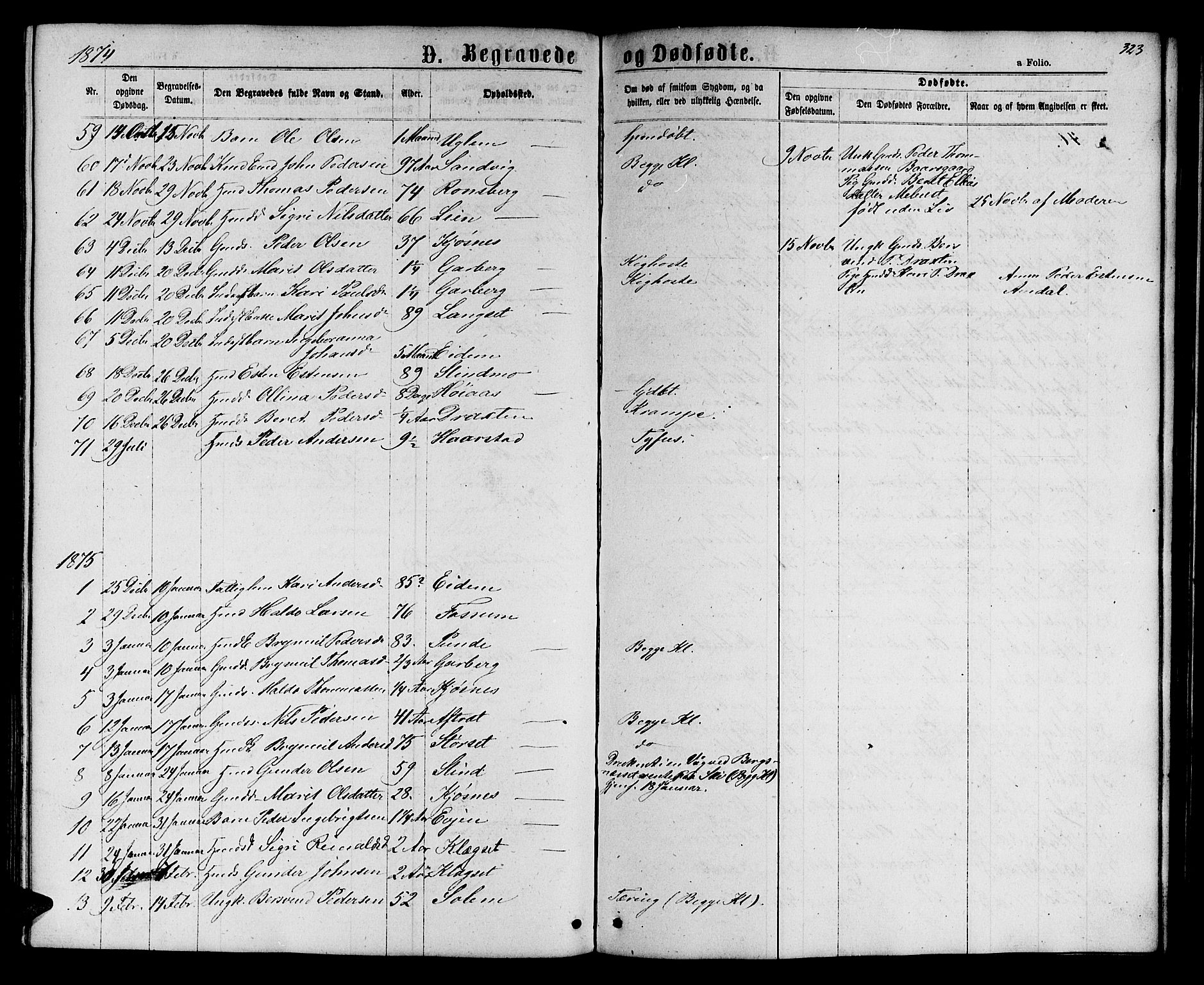 Ministerialprotokoller, klokkerbøker og fødselsregistre - Sør-Trøndelag, SAT/A-1456/695/L1156: Parish register (copy) no. 695C07, 1869-1888, p. 323