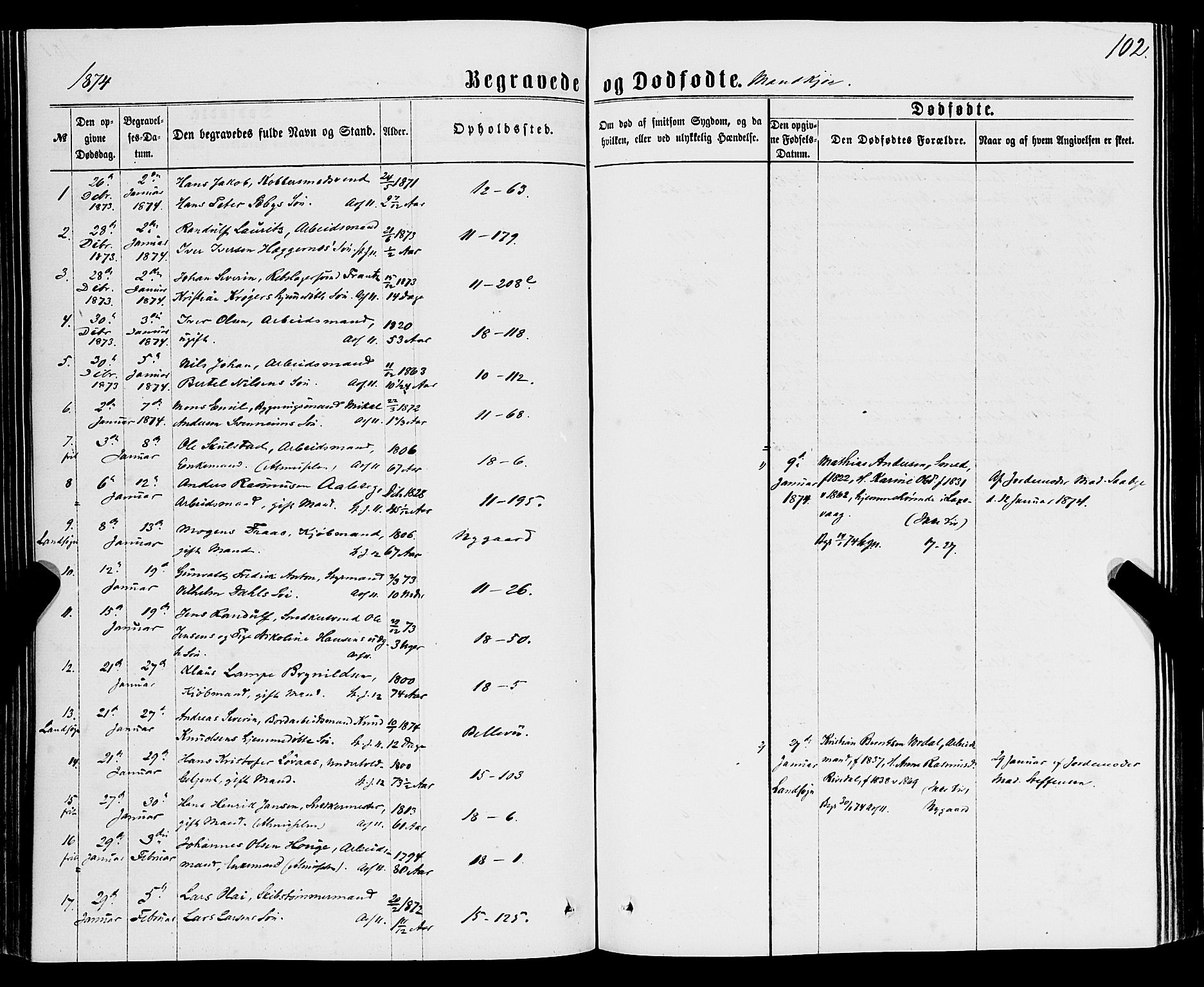 Domkirken sokneprestembete, SAB/A-74801/H/Haa/L0042: Parish register (official) no. E 3, 1863-1876, p. 102
