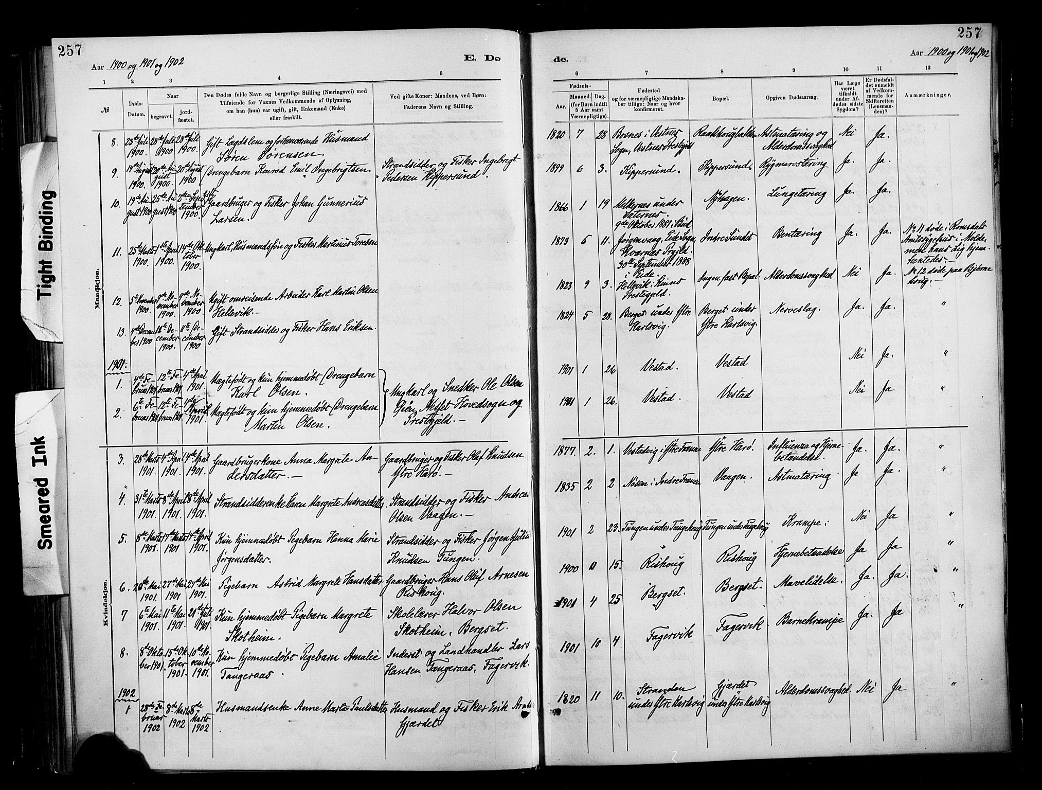 Ministerialprotokoller, klokkerbøker og fødselsregistre - Møre og Romsdal, SAT/A-1454/566/L0769: Parish register (official) no. 566A08, 1881-1903, p. 257