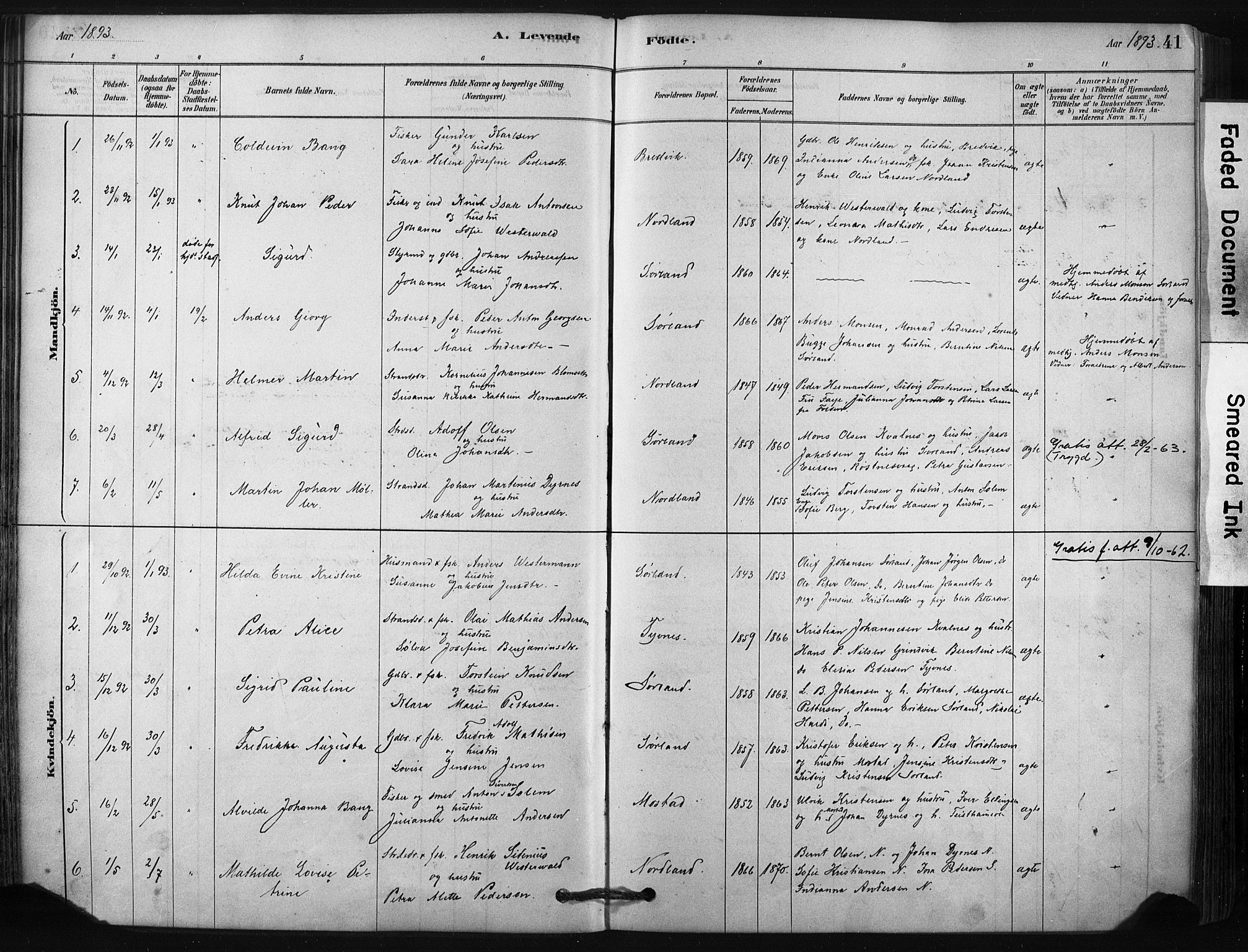 Ministerialprotokoller, klokkerbøker og fødselsregistre - Nordland, AV/SAT-A-1459/807/L0122: Parish register (official) no. 807A05, 1880-1902, p. 41