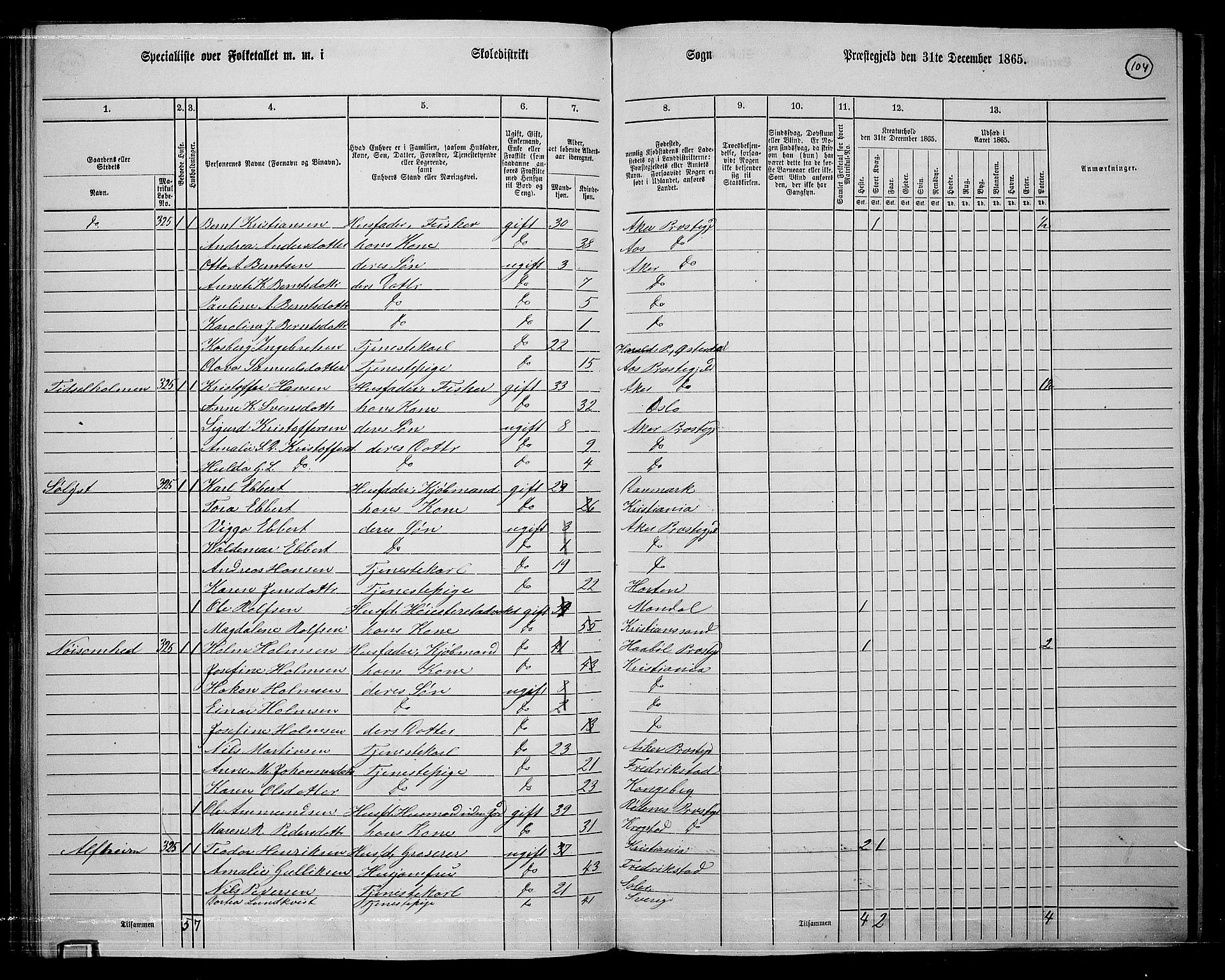 RA, 1865 census for Østre Aker, 1865, p. 328