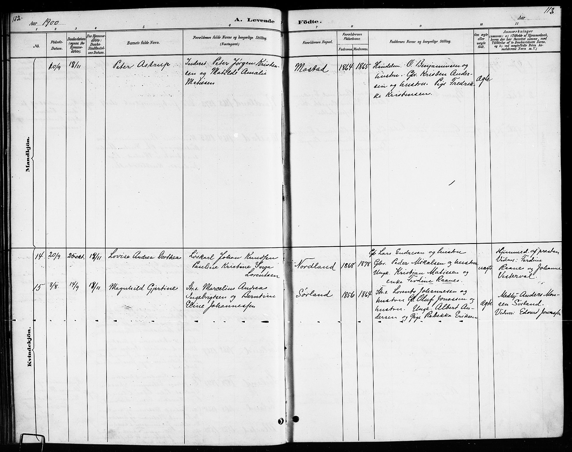 Ministerialprotokoller, klokkerbøker og fødselsregistre - Nordland, SAT/A-1459/807/L0123: Parish register (copy) no. 807C01, 1884-1910, p. 112-113
