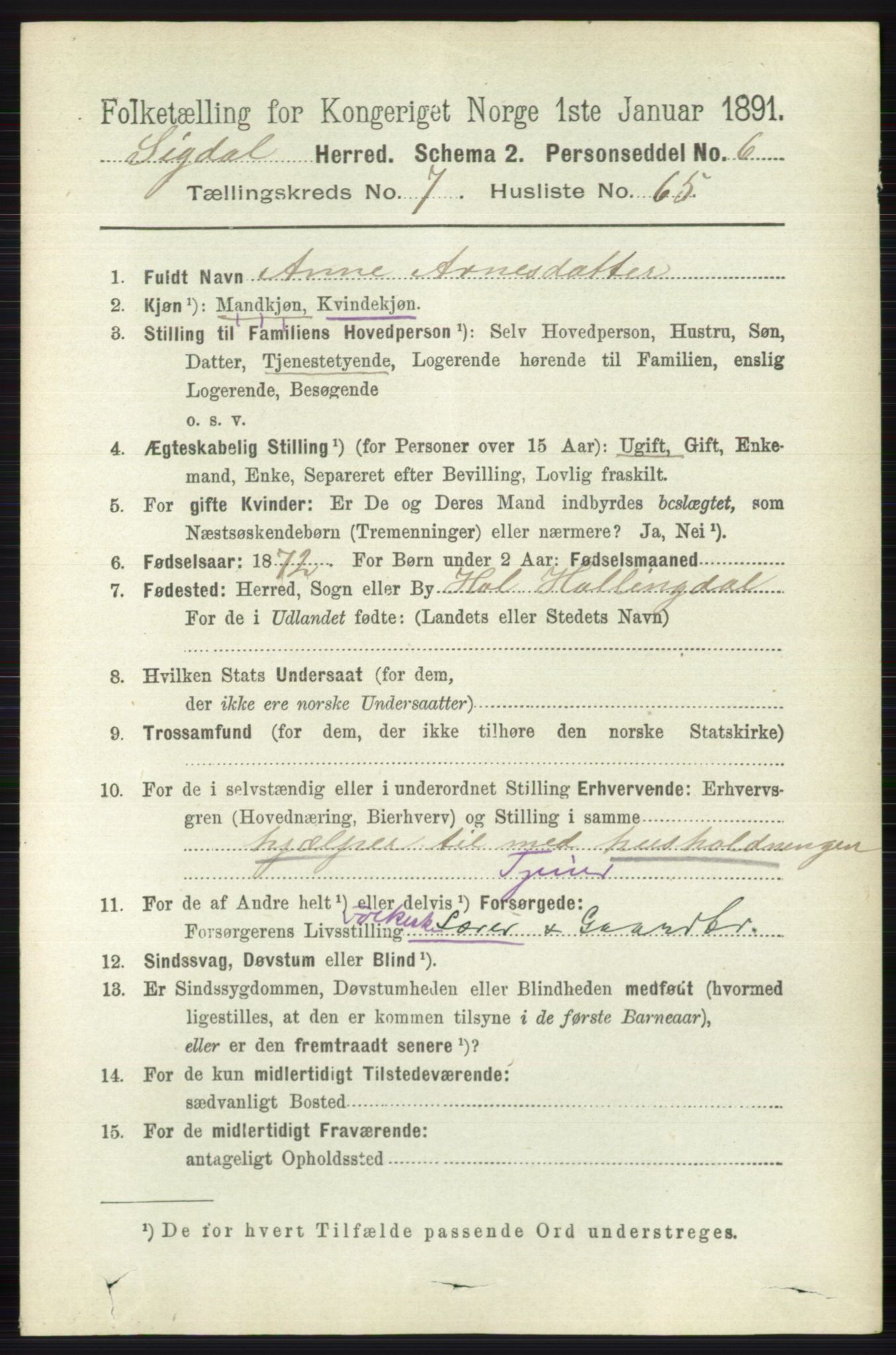 RA, 1891 census for 0621 Sigdal, 1891, p. 3095