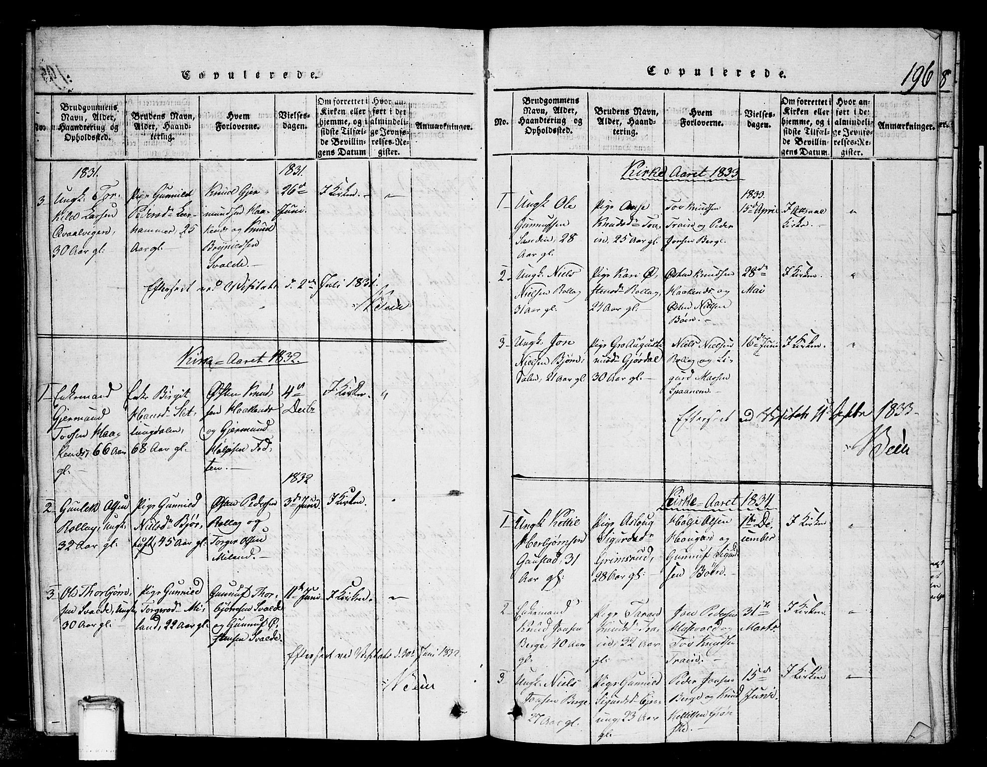 Tinn kirkebøker, SAKO/A-308/G/Gb/L0001: Parish register (copy) no. II 1 /1, 1815-1850, p. 196