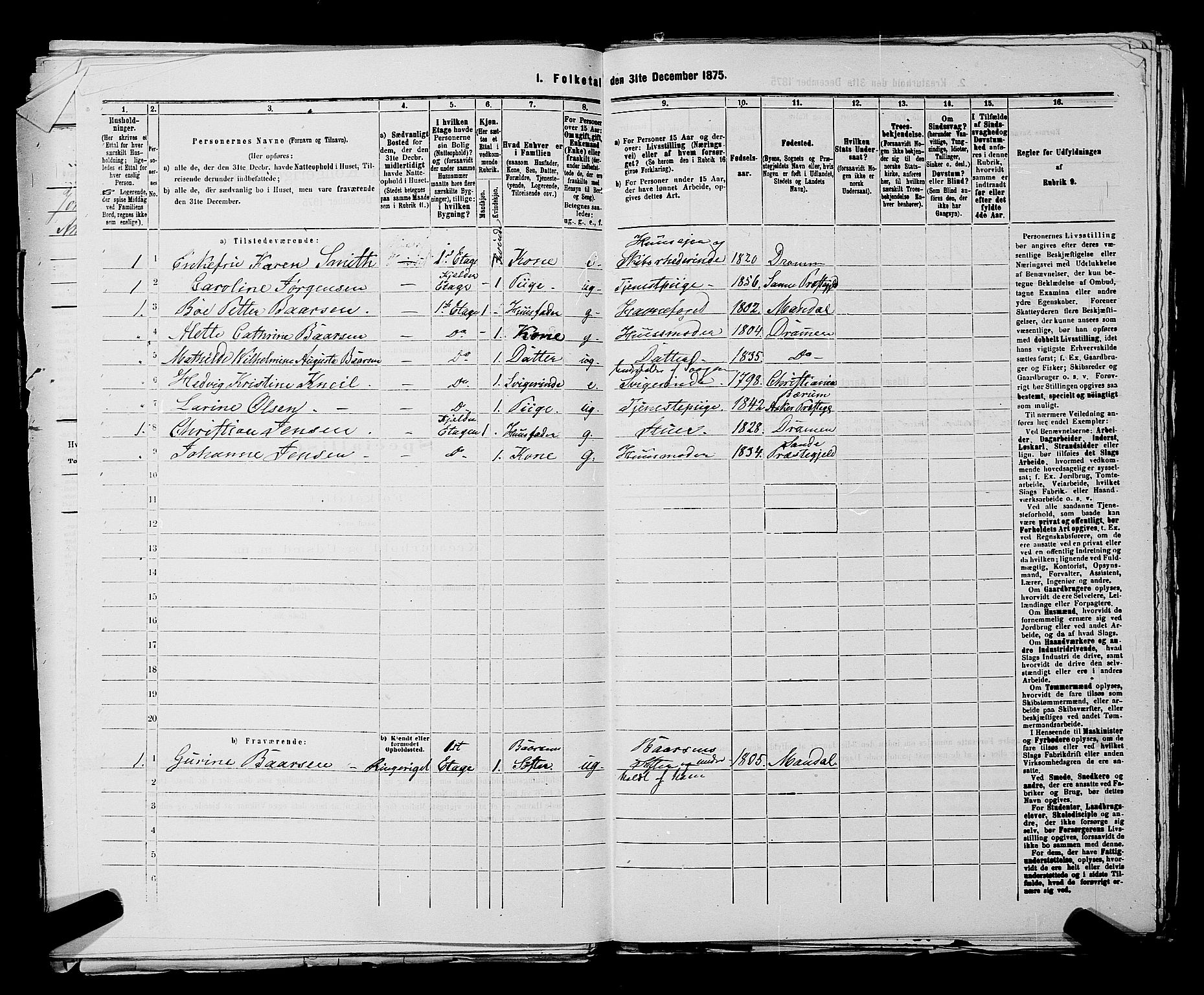 SAKO, 1875 census for 0602 Drammen, 1875, p. 3744