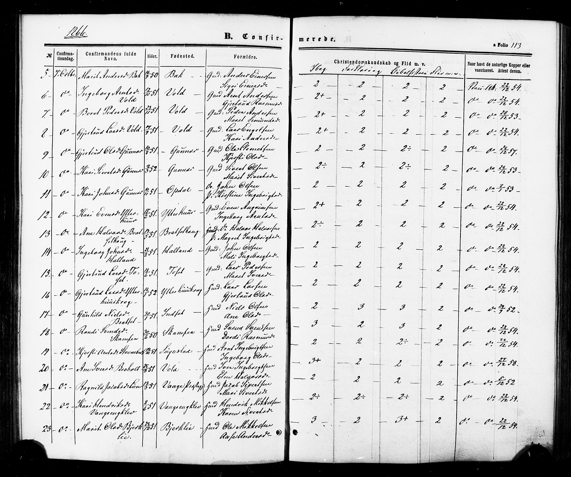 Ministerialprotokoller, klokkerbøker og fødselsregistre - Sør-Trøndelag, SAT/A-1456/674/L0870: Parish register (official) no. 674A02, 1861-1879, p. 113
