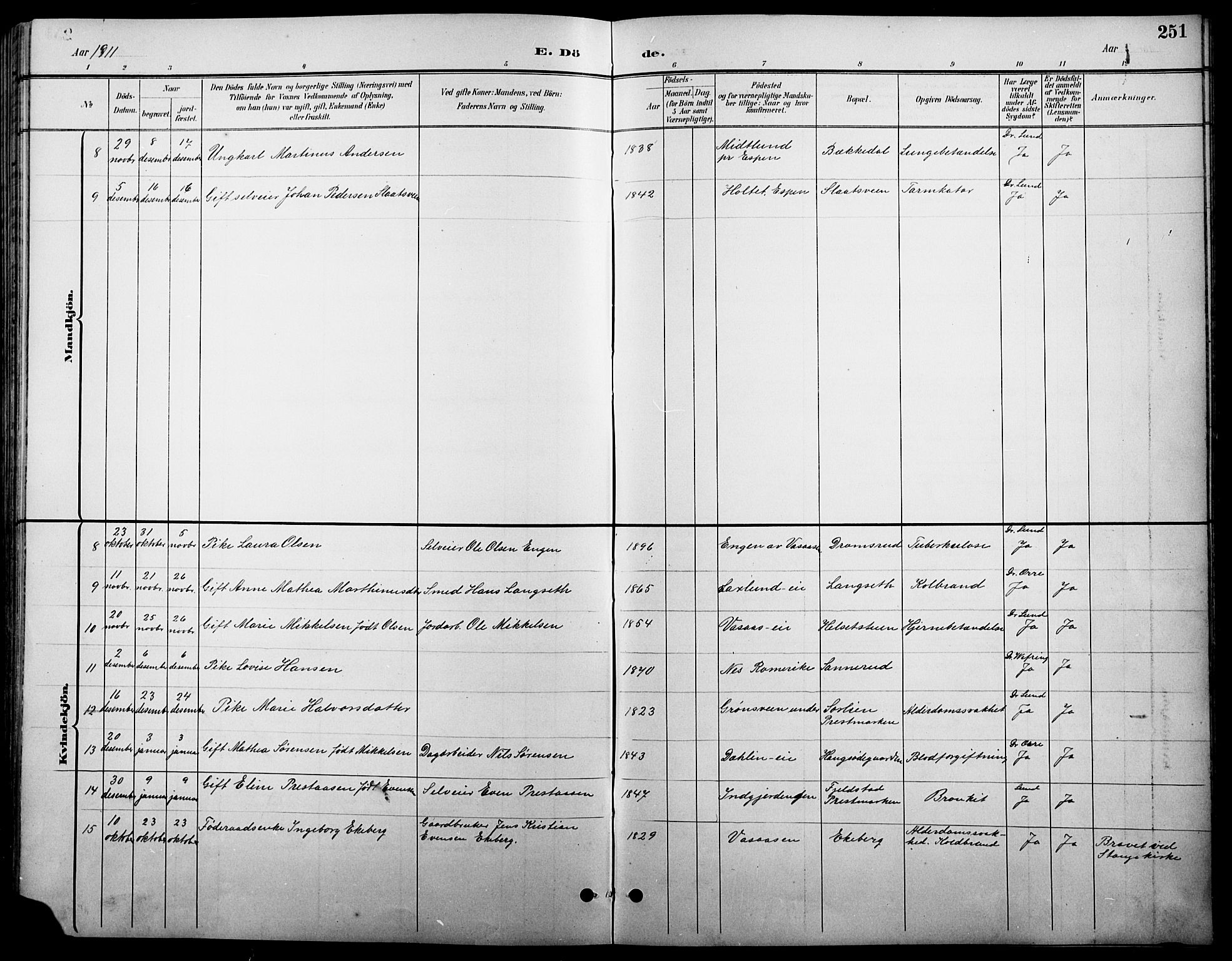 Stange prestekontor, SAH/PREST-002/L/L0011: Parish register (copy) no. 11, 1895-1917, p. 251