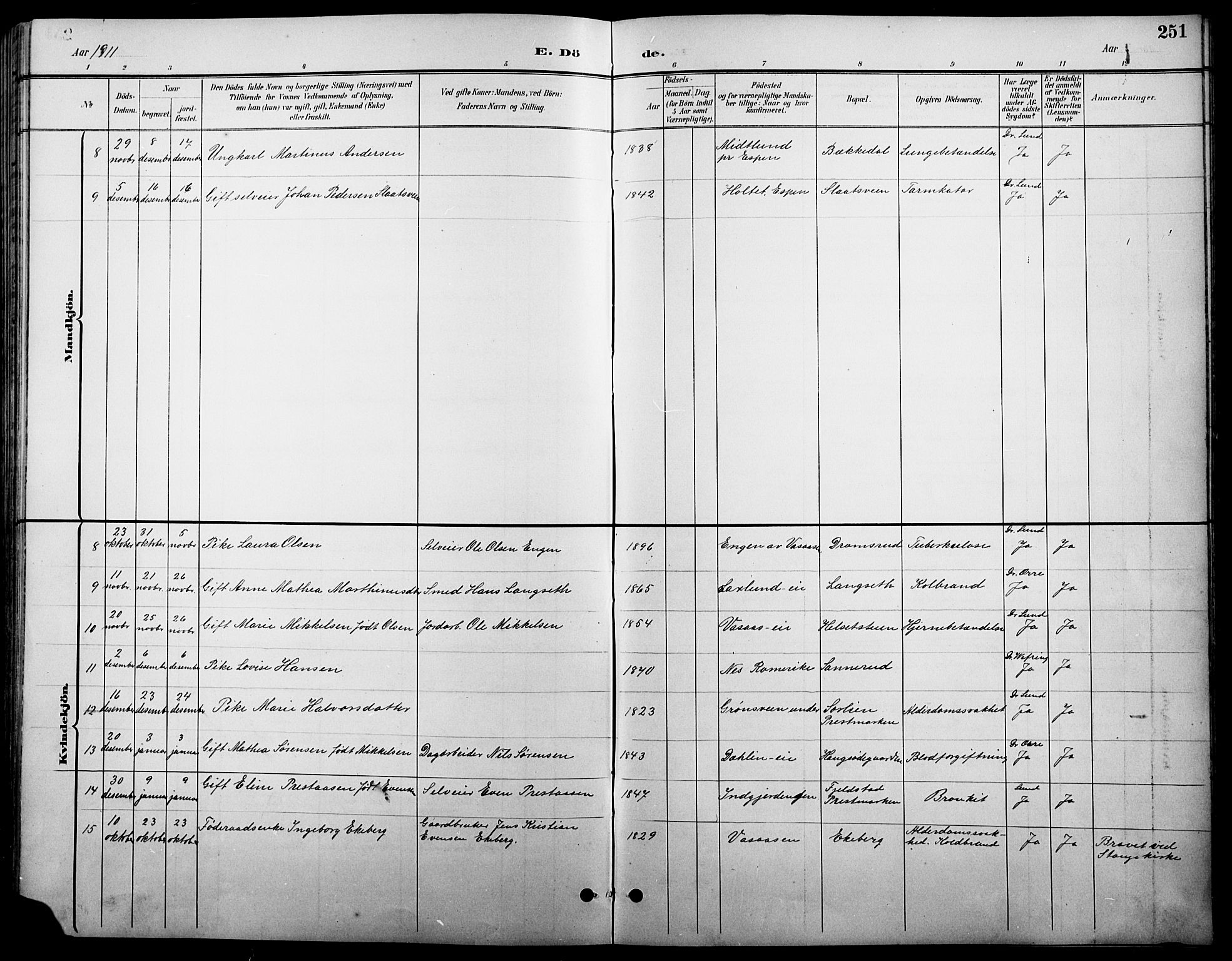 Stange prestekontor, AV/SAH-PREST-002/L/L0011: Parish register (copy) no. 11, 1895-1917, p. 251