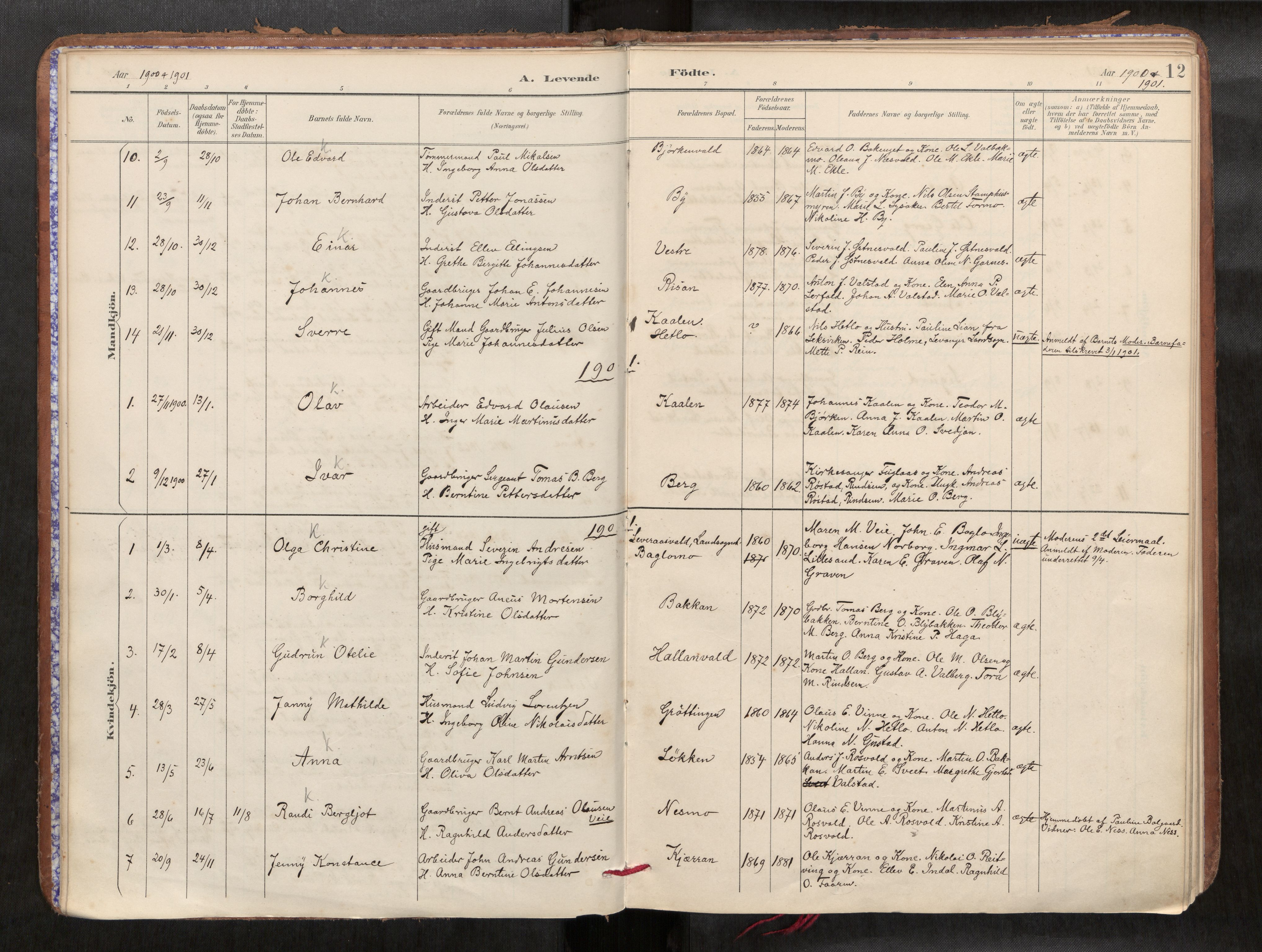 Verdal sokneprestkontor, AV/SAT-A-1156/2/H/Haa/L0002: Parish register (official) no. 2, 1891-1907, p. 12