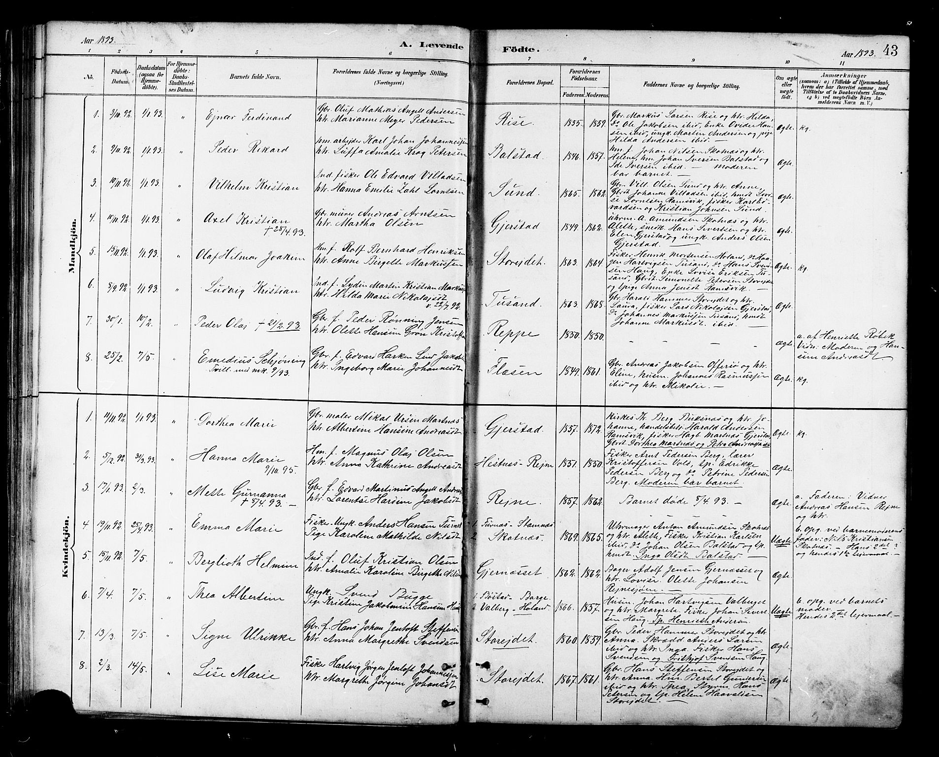 Ministerialprotokoller, klokkerbøker og fødselsregistre - Nordland, SAT/A-1459/881/L1167: Parish register (copy) no. 881C04, 1886-1899, p. 43