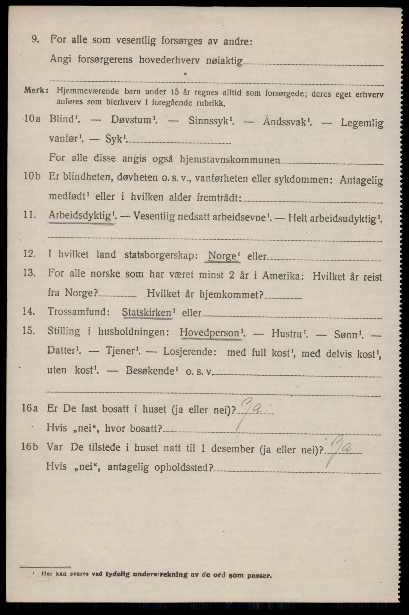 SAKO, 1920 census for Nissedal, 1920, p. 3878