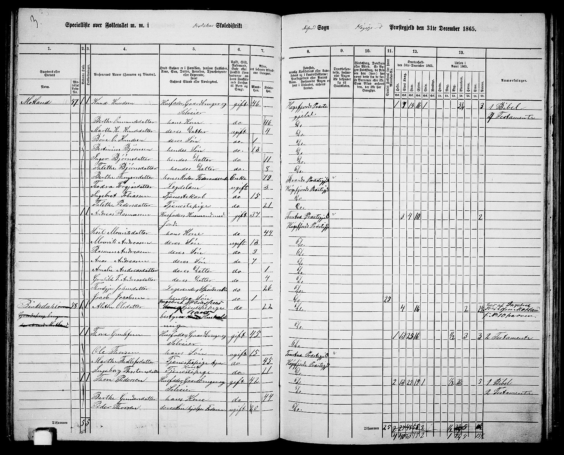 RA, 1865 census for Høgsfjord, 1865, p. 81