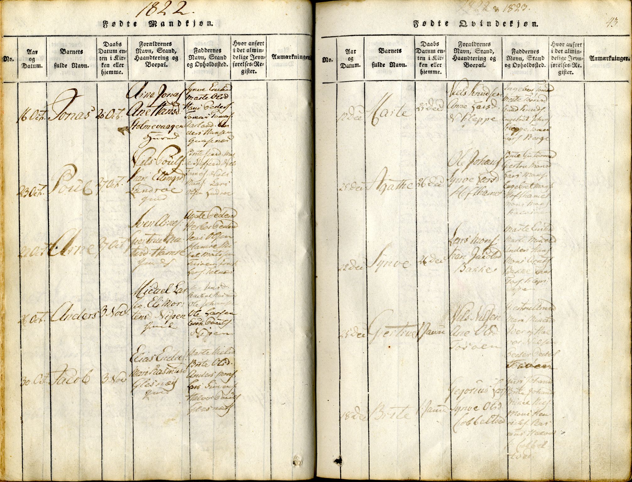 Sund sokneprestembete, SAB/A-99930: Parish register (official) no. A 11, 1814-1825, p. 43