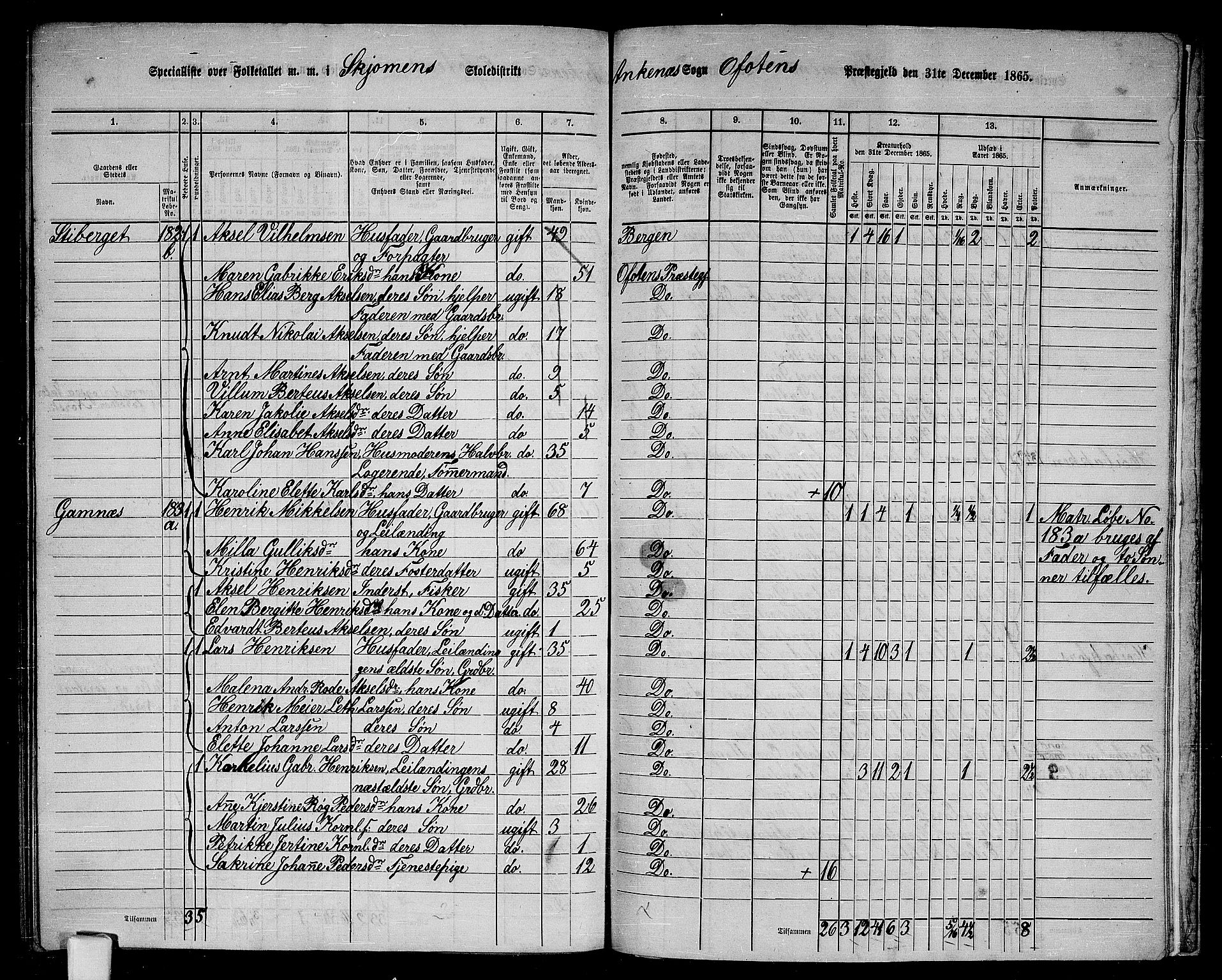 RA, 1865 census for Ofoten, 1865, p. 160