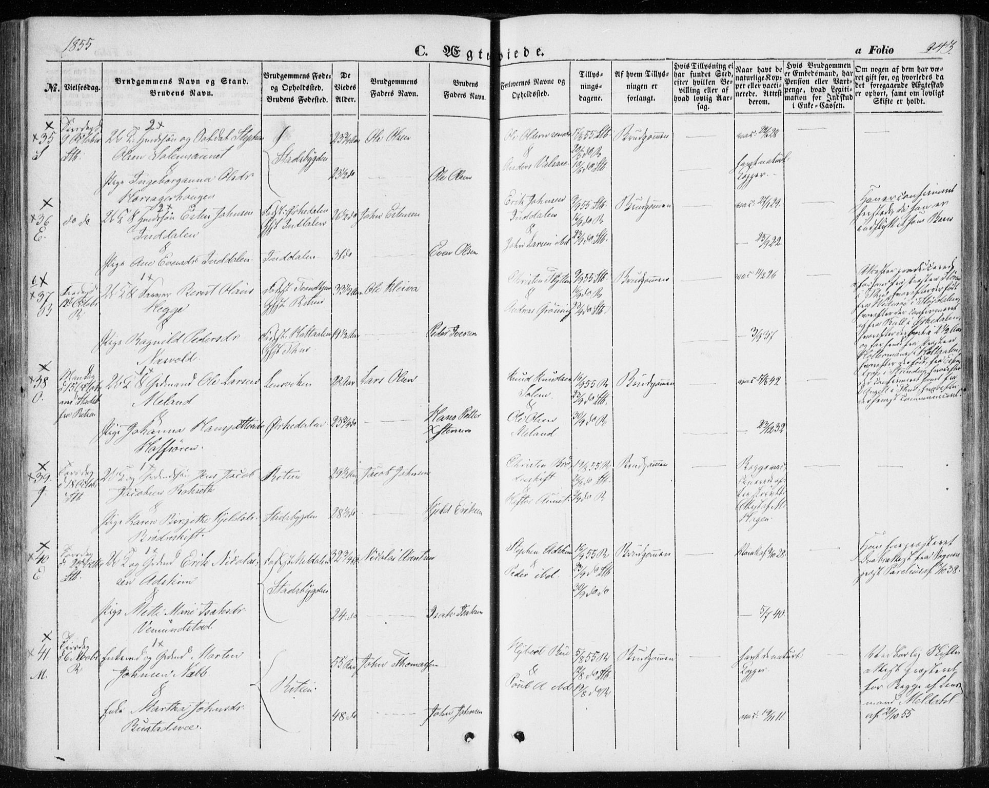 Ministerialprotokoller, klokkerbøker og fødselsregistre - Sør-Trøndelag, SAT/A-1456/646/L0611: Parish register (official) no. 646A09, 1848-1857, p. 243