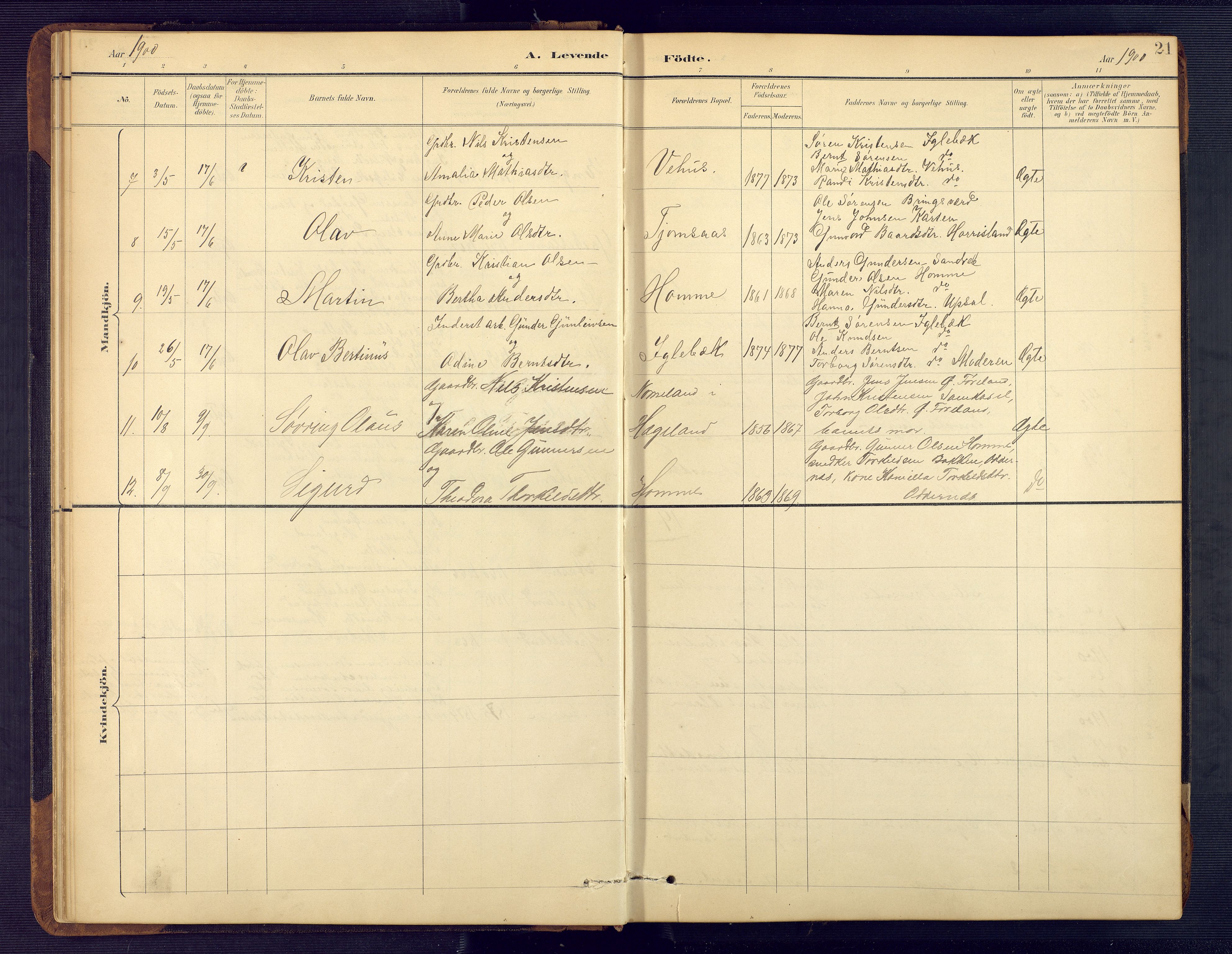 Vennesla sokneprestkontor, AV/SAK-1111-0045/Fb/Fbc/L0003: Parish register (copy) no. B 3, 1895-1946, p. 21