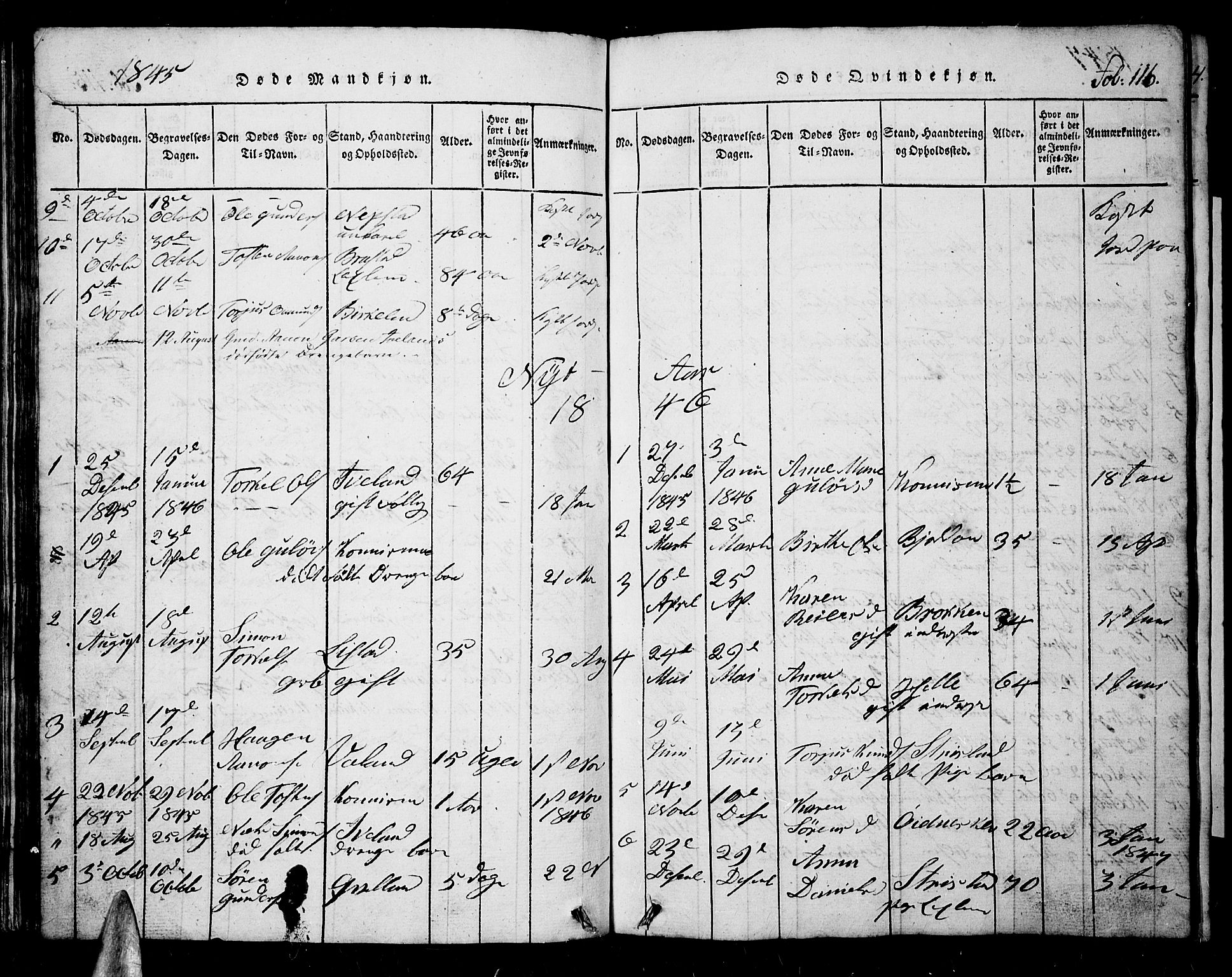 Nord-Audnedal sokneprestkontor, AV/SAK-1111-0032/F/Fb/Fba/L0001: Parish register (copy) no. B 1, 1815-1856, p. 116