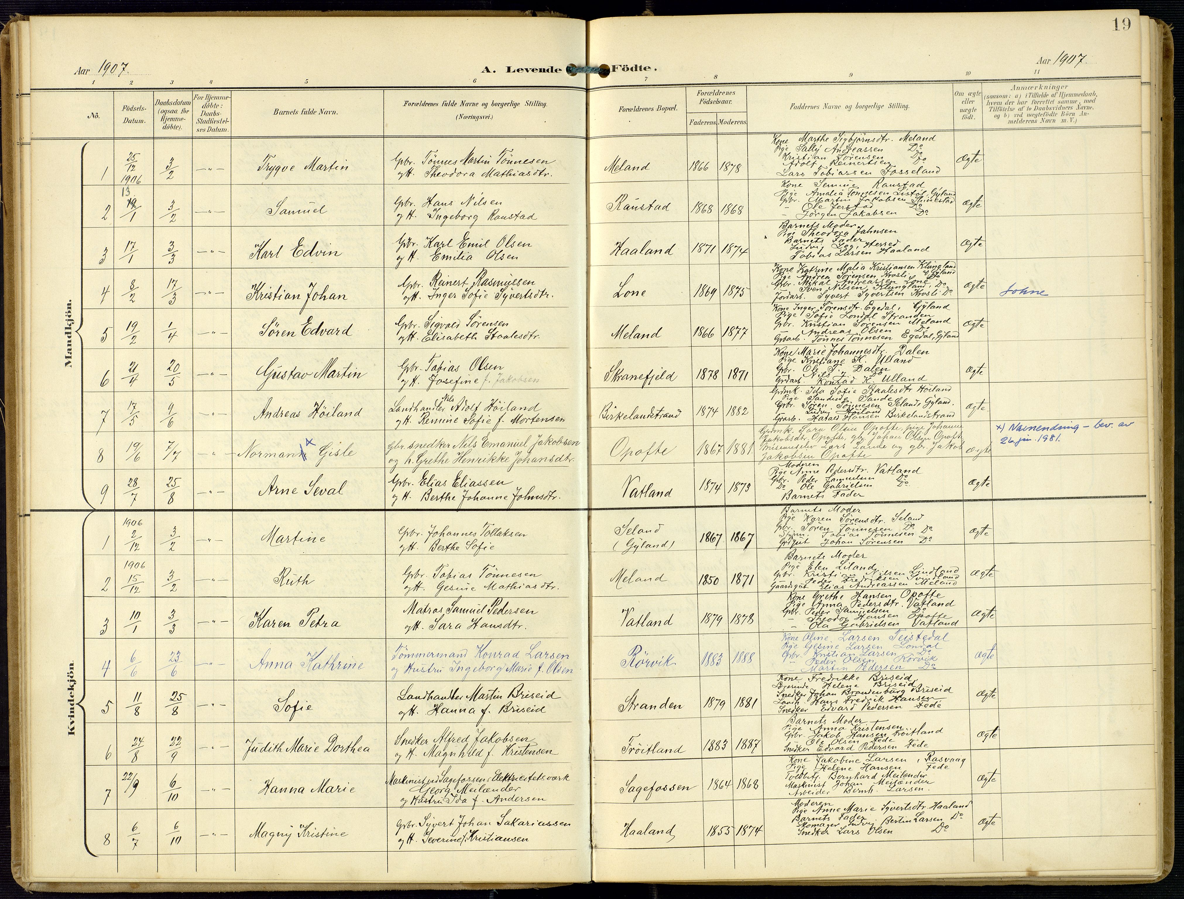 Kvinesdal sokneprestkontor, SAK/1111-0026/F/Fa/Faa/L0005: Parish register (official) no. A 5, 1898-1915, p. 19