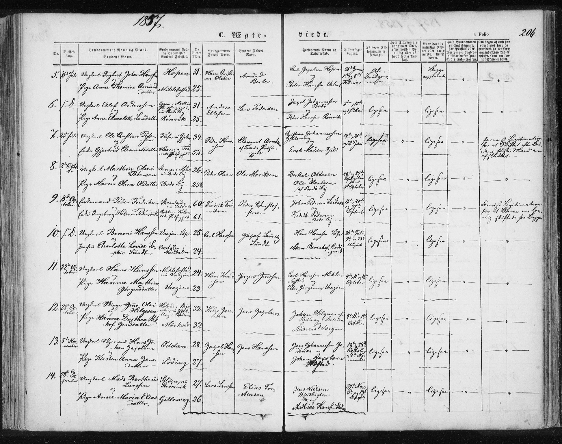 Ministerialprotokoller, klokkerbøker og fødselsregistre - Nordland, AV/SAT-A-1459/801/L0007: Parish register (official) no. 801A07, 1845-1863, p. 206