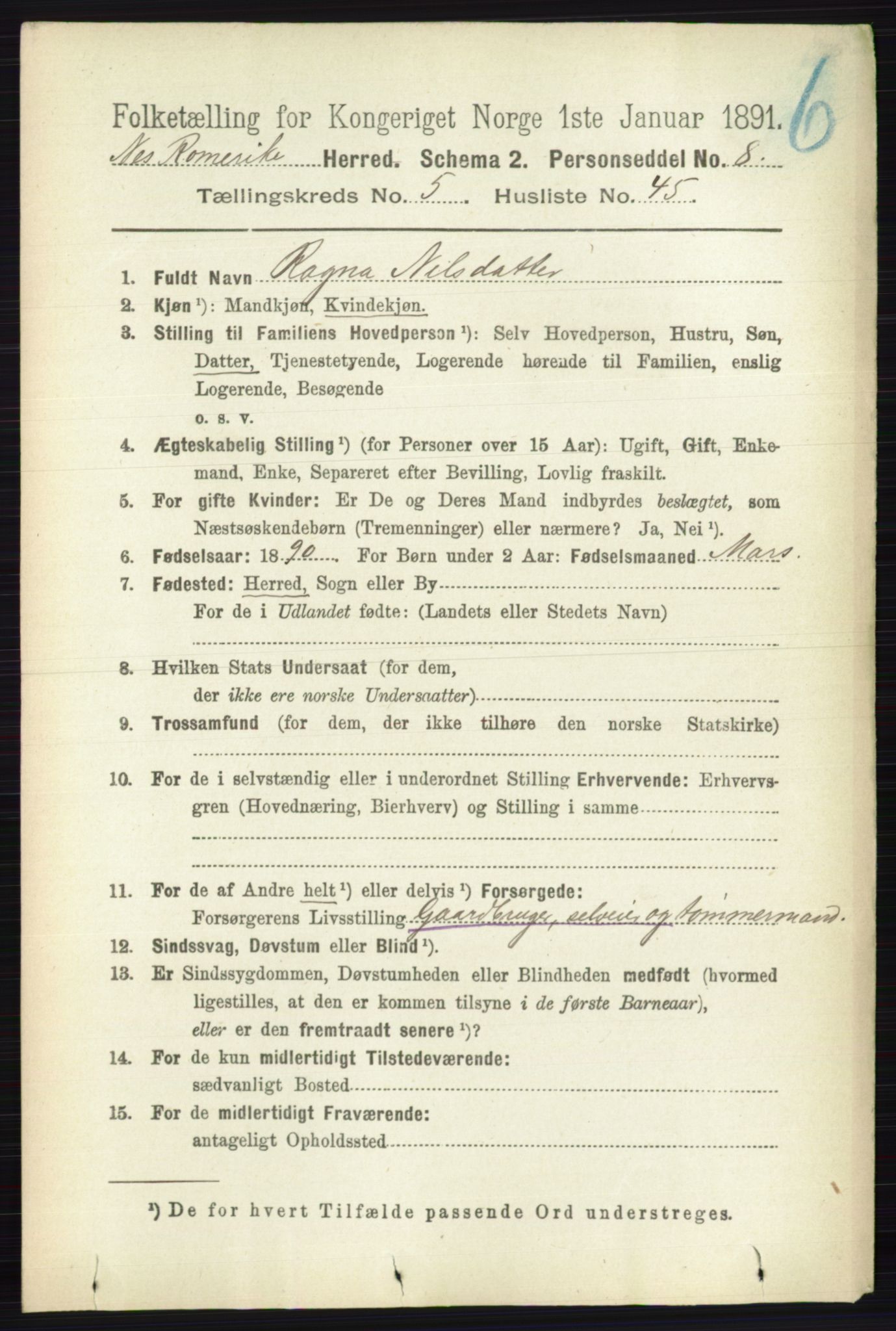 RA, 1891 census for 0236 Nes, 1891, p. 3063