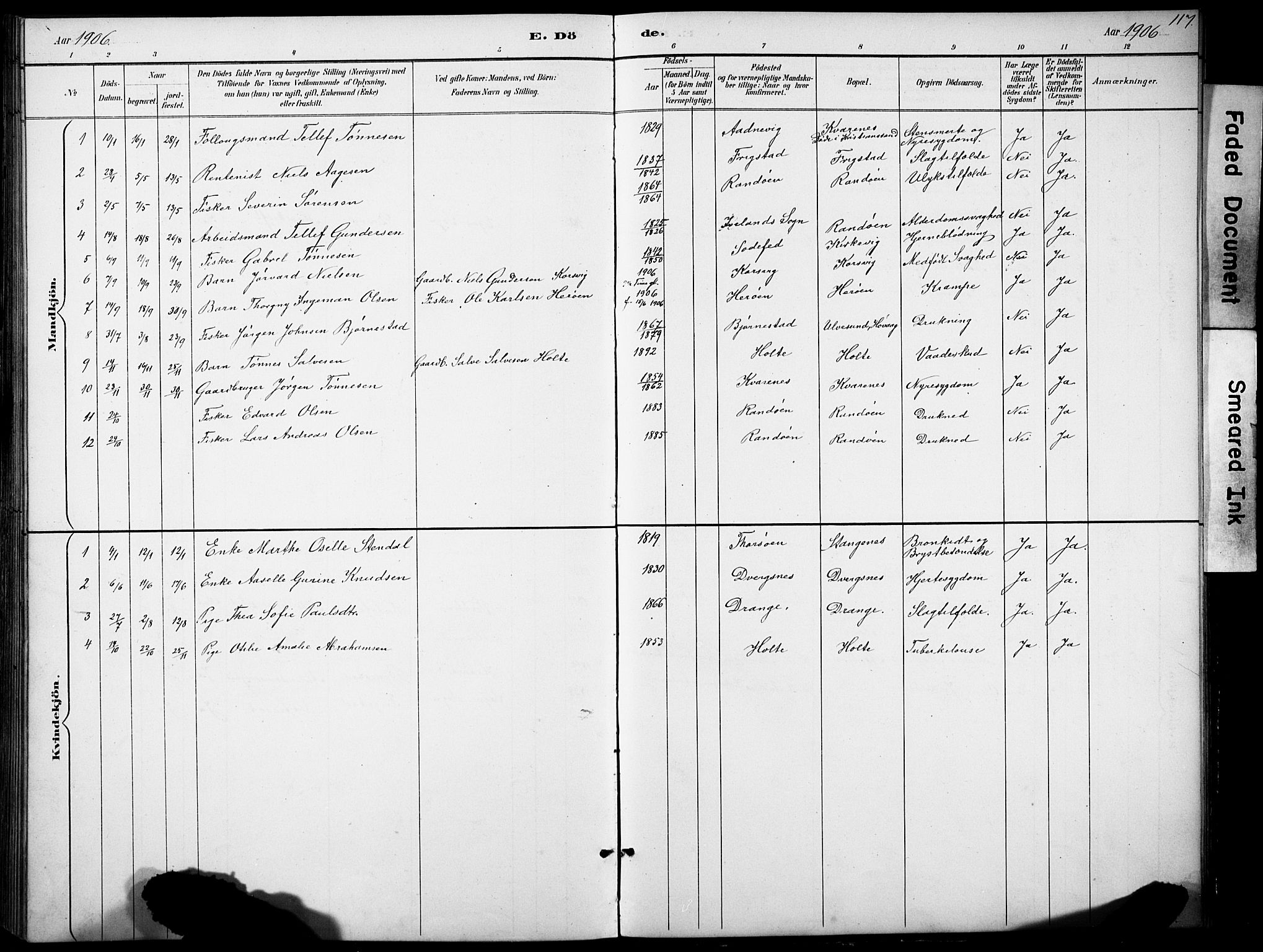 Oddernes sokneprestkontor, AV/SAK-1111-0033/F/Fb/Fbb/L0002: Parish register (copy) no. B 2, 1889-1933, p. 117