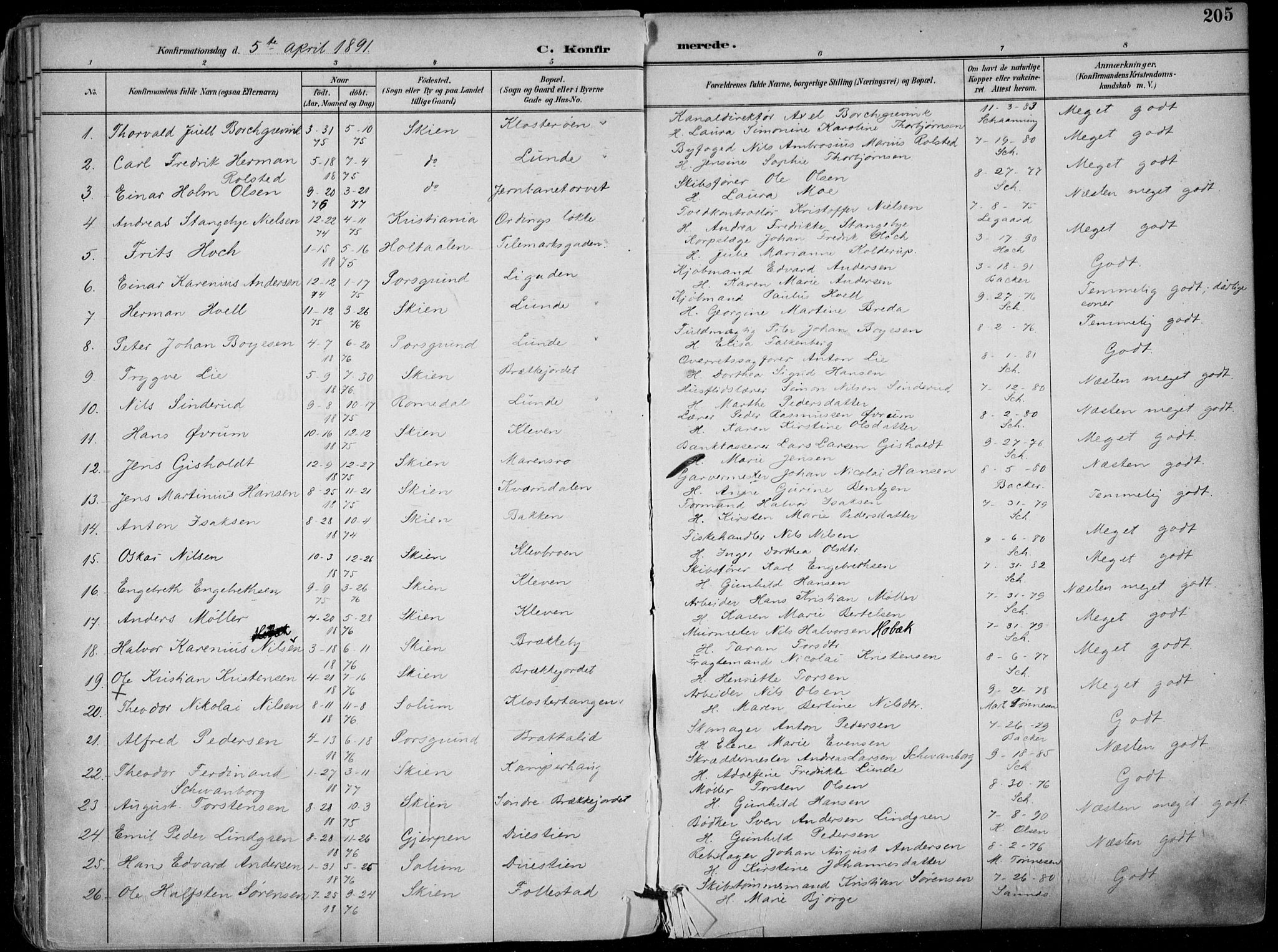Skien kirkebøker, SAKO/A-302/F/Fa/L0010: Parish register (official) no. 10, 1891-1899, p. 205
