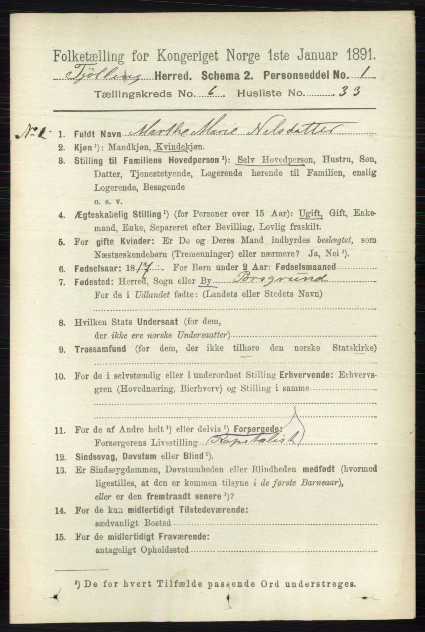 RA, 1891 census for 0725 Tjølling, 1891, p. 3128