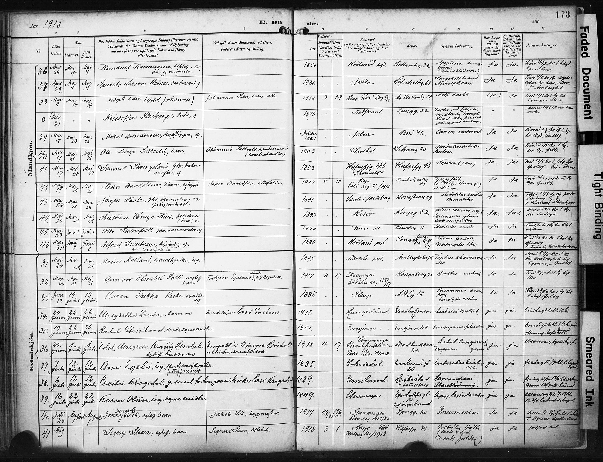 St. Petri sokneprestkontor, AV/SAST-A-101813/001/30/30BA/L0022: Parish register (official) no. A 22, 1895-1919, p. 173