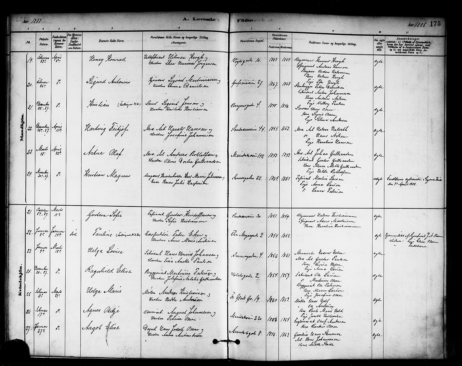 Sagene prestekontor Kirkebøker, AV/SAO-A-10796/G/L0001: Parish register (copy) no. 1, 1880-1891, p. 175