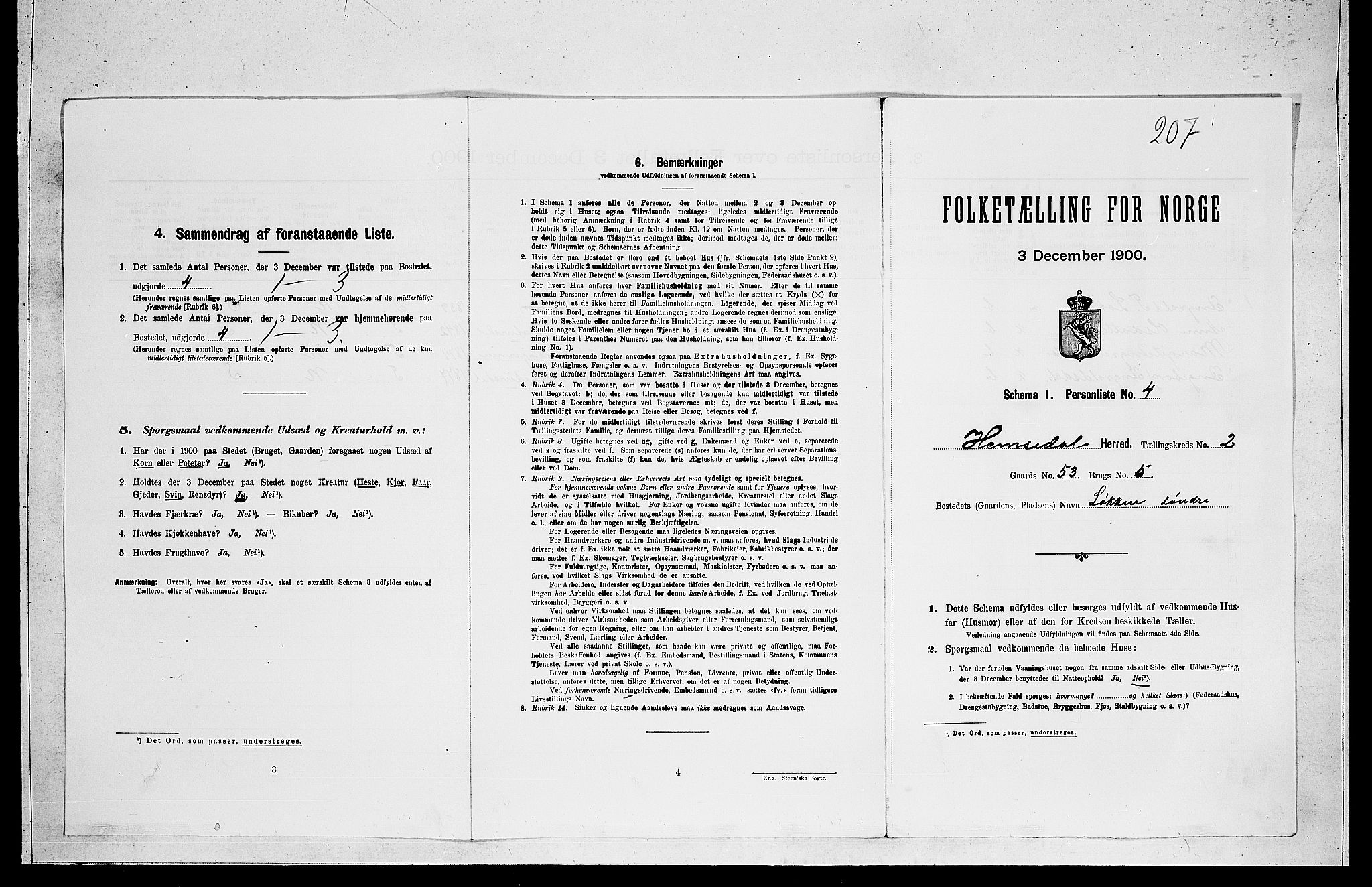 RA, 1900 census for Hemsedal, 1900, p. 101