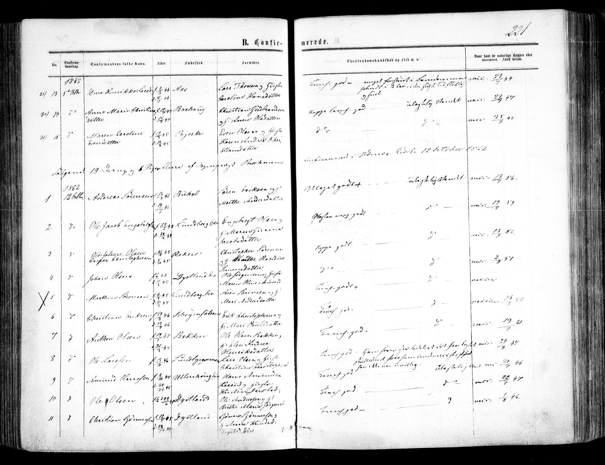 Nes prestekontor Kirkebøker, AV/SAO-A-10410/F/Fa/L0008: Parish register (official) no. I 8, 1859-1874, p. 221