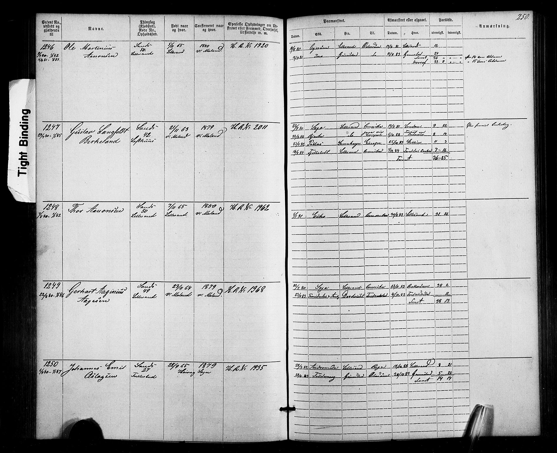 Lillesand mønstringskrets, SAK/2031-0014/F/Fa/L0002: Annotasjonsrulle nr 1-1910 med register, W-8, 1868-1891, p. 256