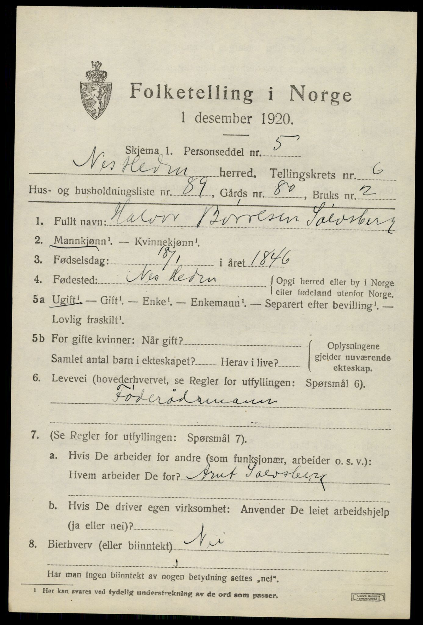 SAH, 1920 census for Nes (Hedmark), 1920, p. 8782