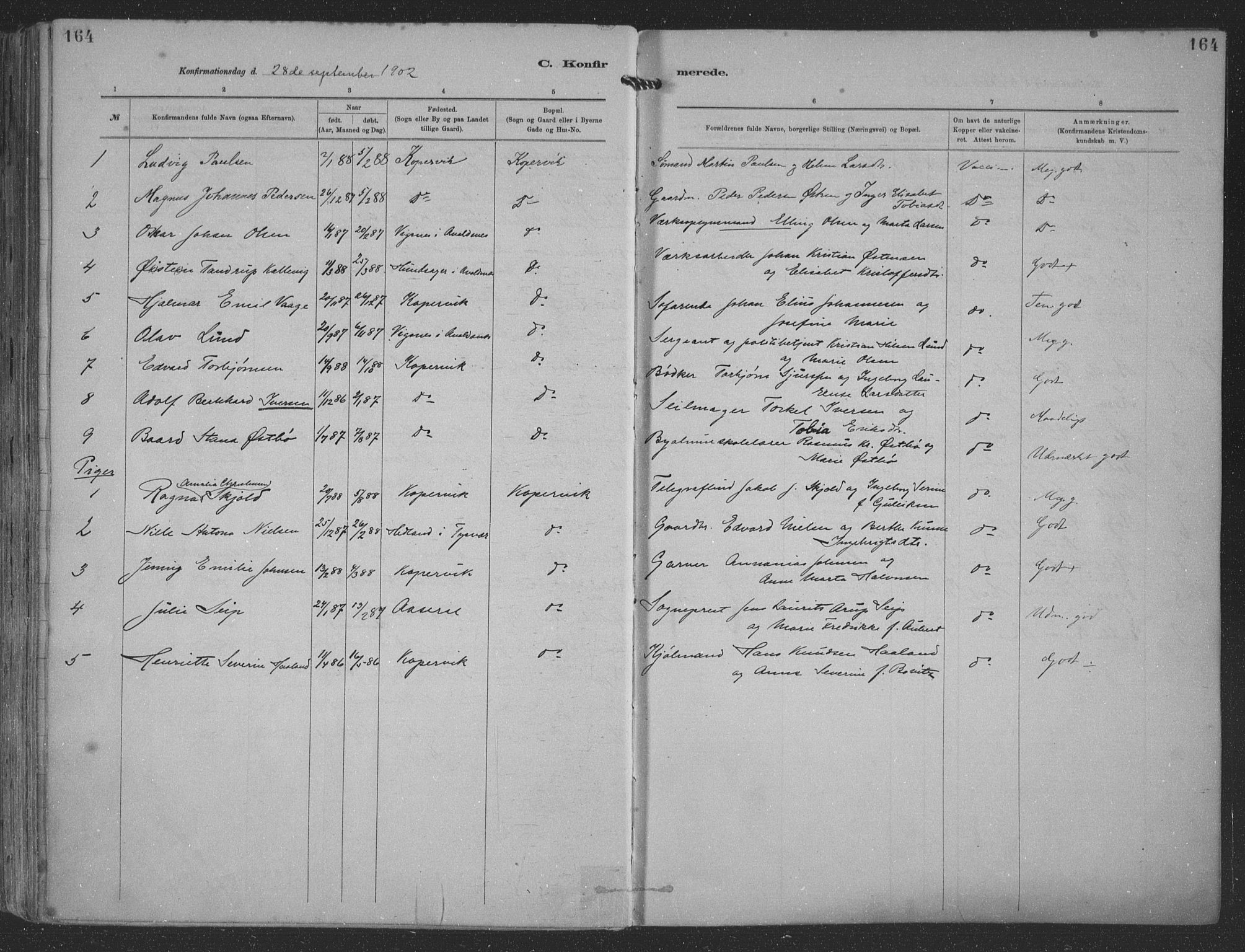 Kopervik sokneprestkontor, SAST/A-101850/H/Ha/Haa/L0001: Parish register (official) no. A 1, 1880-1919, p. 164