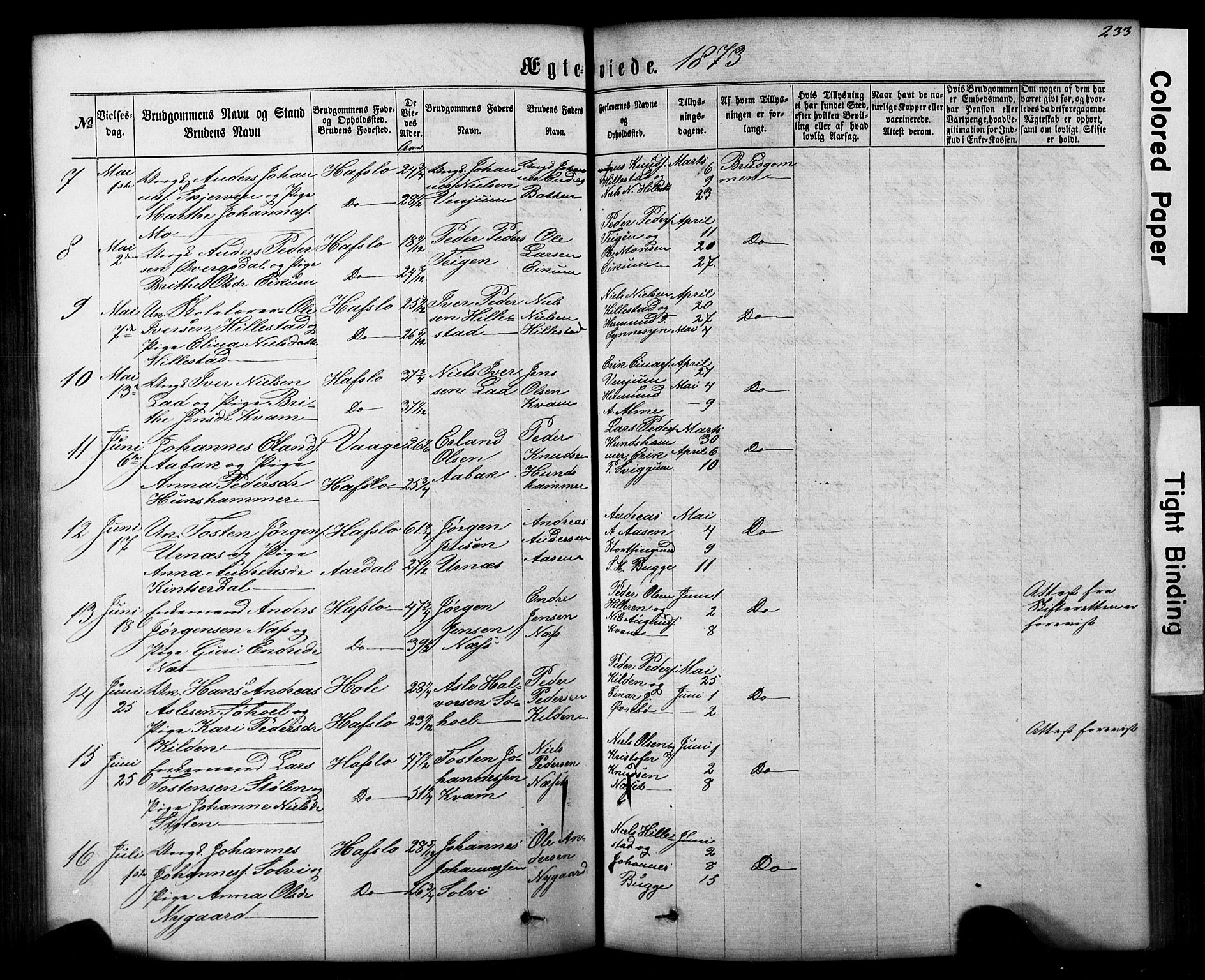 Hafslo sokneprestembete, AV/SAB-A-80301/H/Hab/Haba/L0001: Parish register (copy) no. A 1, 1866-1908, p. 233