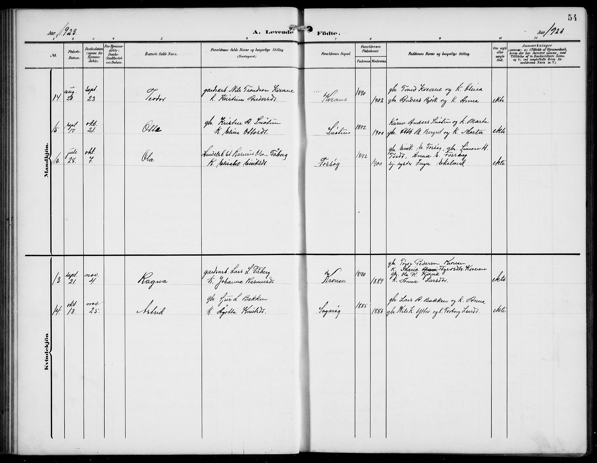 Jostedal sokneprestembete, AV/SAB-A-80601/H/Hab/Haba/L0002: Parish register (copy) no. A 2, 1907-1931, p. 54