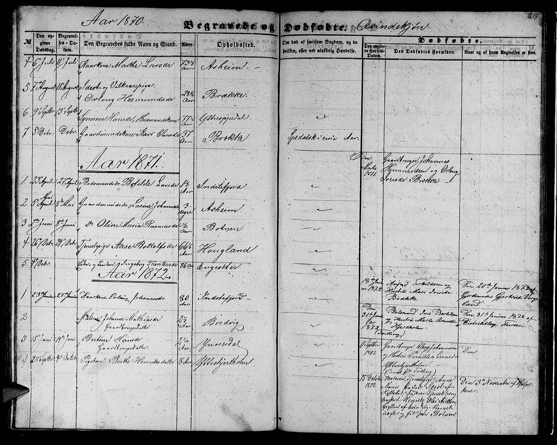 Gulen sokneprestembete, AV/SAB-A-80201/H/Hab/Habc/L0001: Parish register (copy) no. C 1, 1853-1880, p. 217