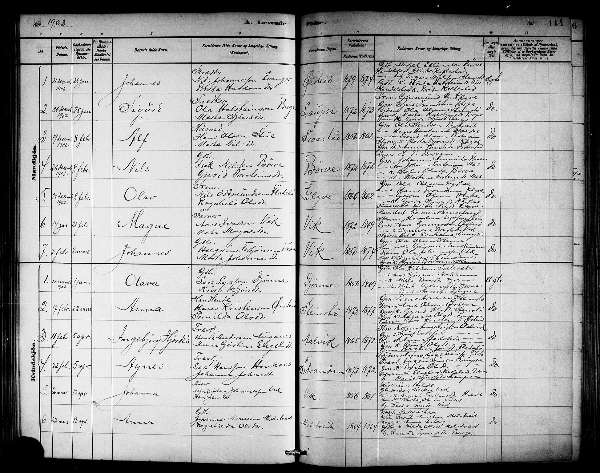 Kvam sokneprestembete, AV/SAB-A-76201/H/Hab: Parish register (copy) no. C 3, 1881-1905, p. 114