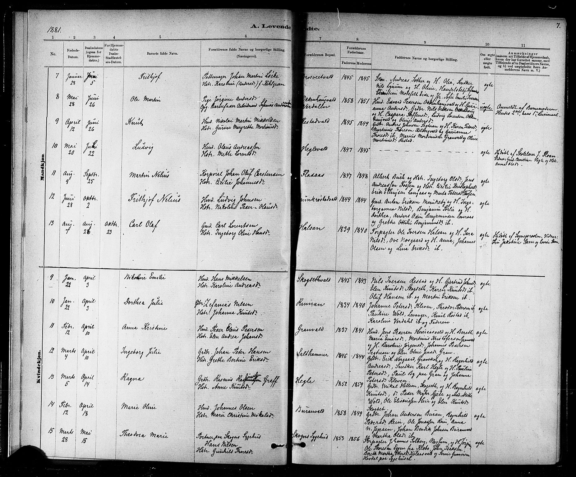 Ministerialprotokoller, klokkerbøker og fødselsregistre - Nord-Trøndelag, SAT/A-1458/721/L0208: Parish register (copy) no. 721C01, 1880-1917, p. 7