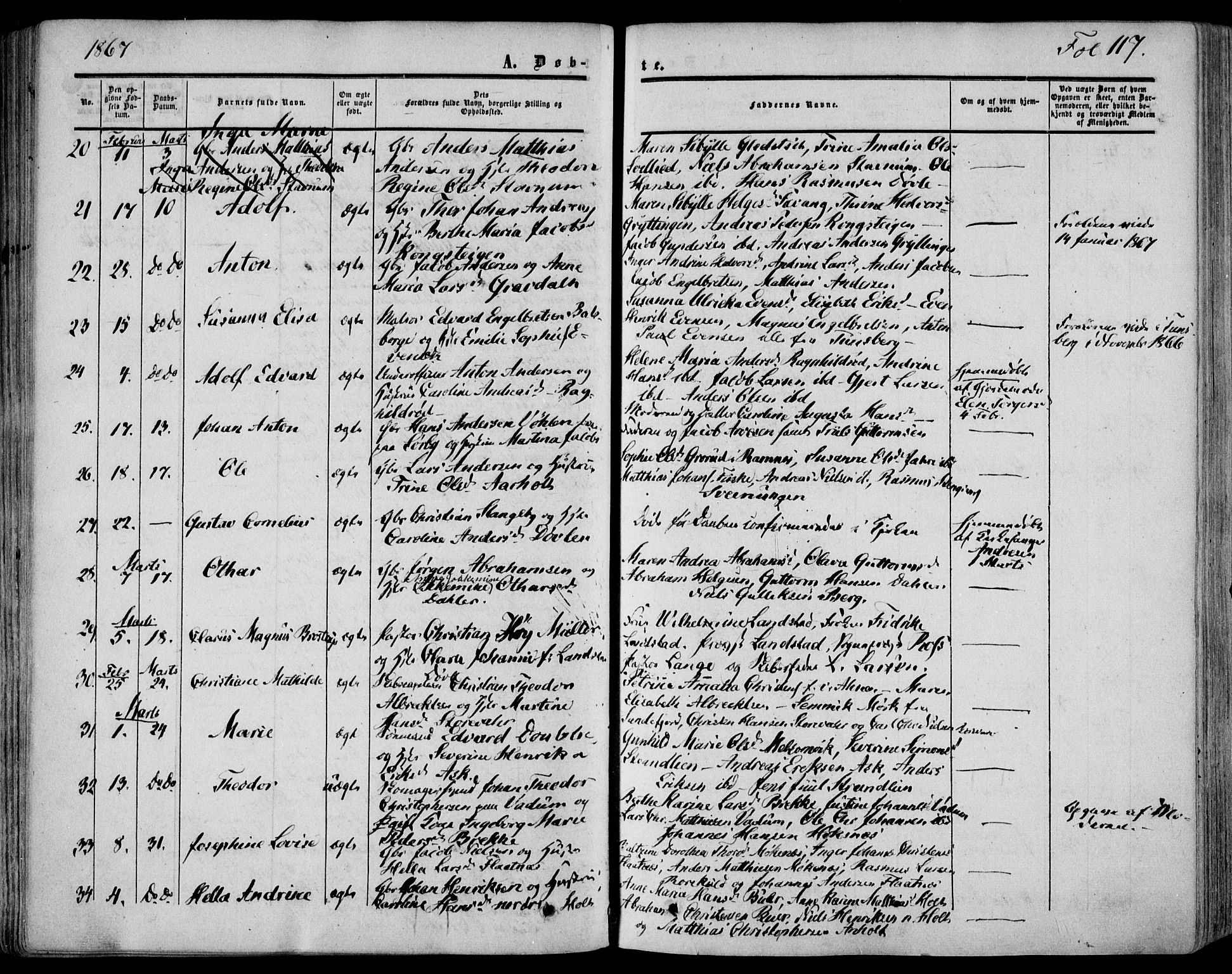 Stokke kirkebøker, AV/SAKO-A-320/F/Fa/L0008: Parish register (official) no. I 8, 1858-1871, p. 117