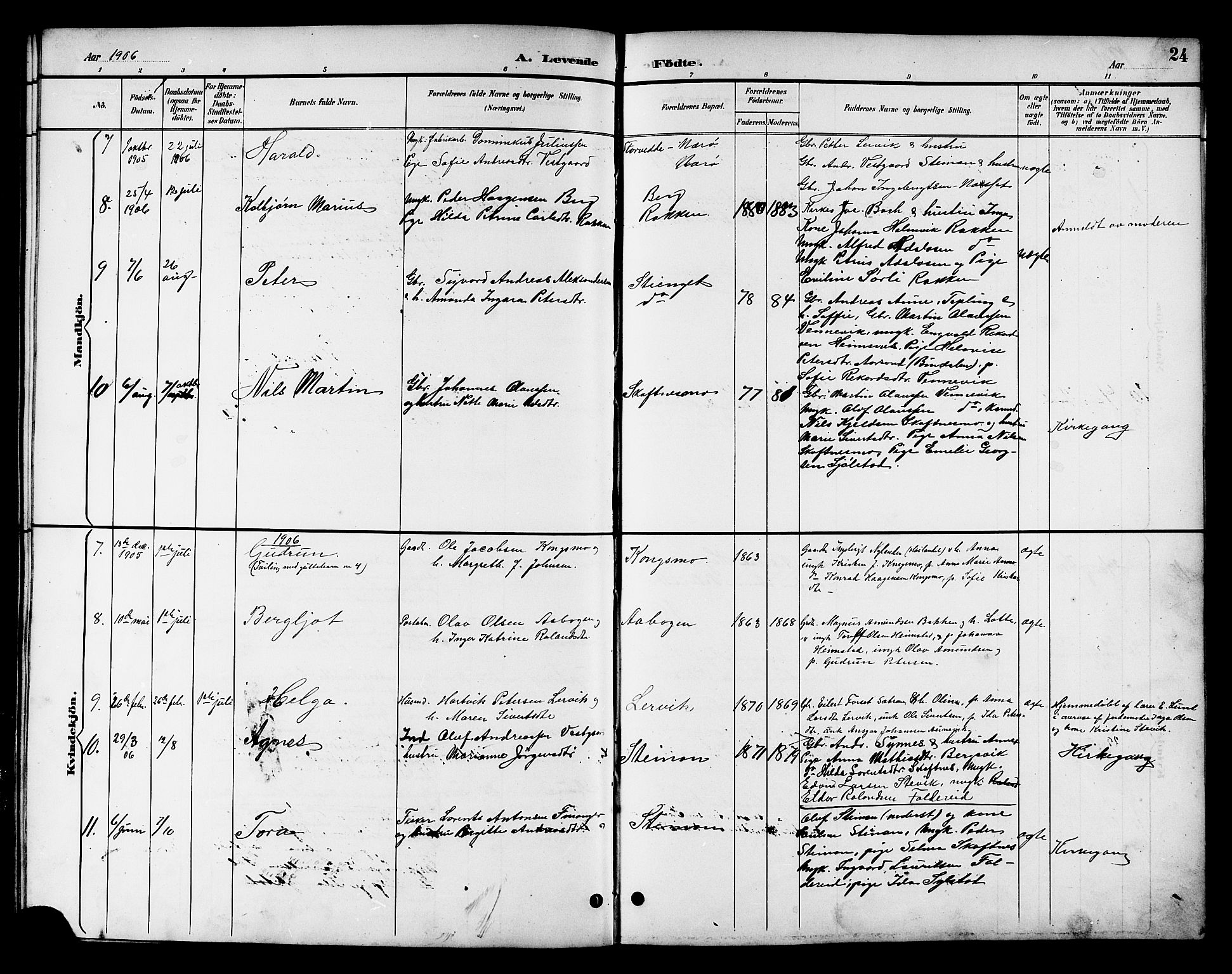 Ministerialprotokoller, klokkerbøker og fødselsregistre - Nord-Trøndelag, SAT/A-1458/783/L0662: Parish register (copy) no. 783C02, 1894-1919, p. 24