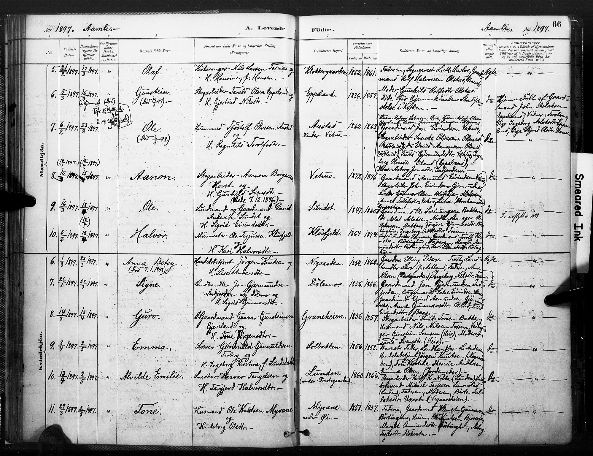 Åmli sokneprestkontor, SAK/1111-0050/F/Fa/Fac/L0010: Parish register (official) no. A 10 /1, 1885-1899, p. 66
