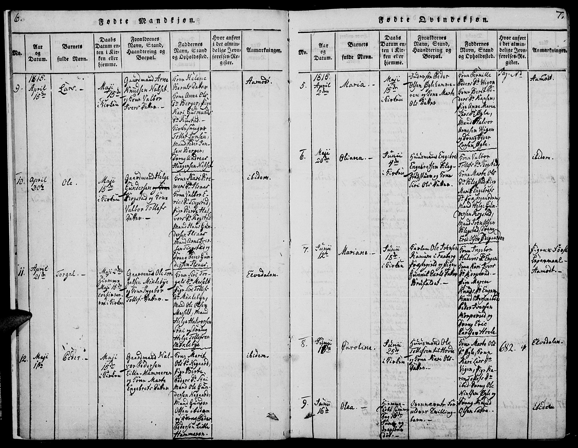 Åmot prestekontor, Hedmark, AV/SAH-PREST-056/H/Ha/Haa/L0005: Parish register (official) no. 5, 1815-1841, p. 6-7